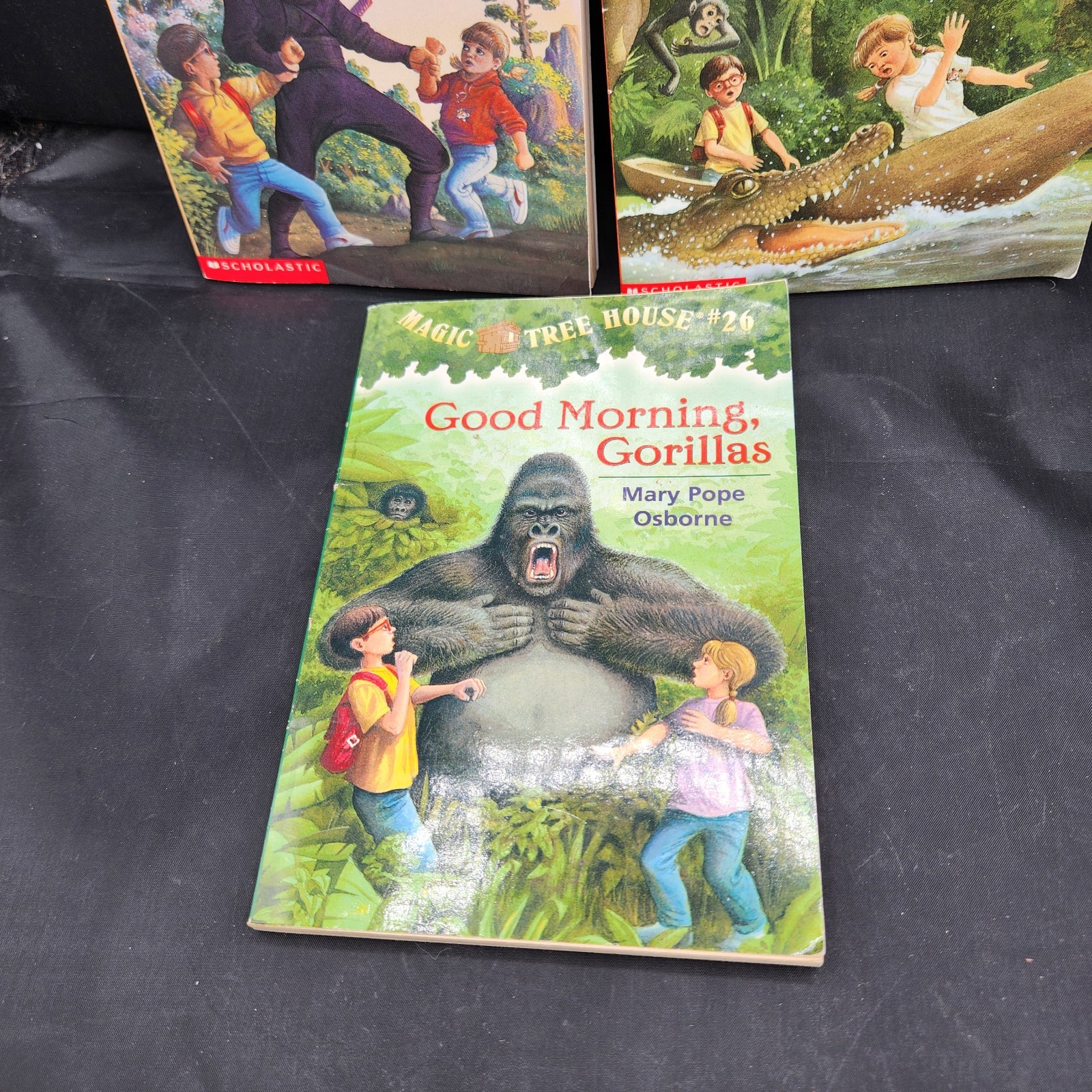 Magic Tree House Osbourne Good Morning Gorillas Night Ninjas Afternoon Amazon