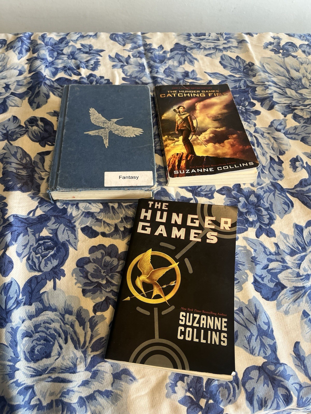 Hunger Games (Hunger Games, Book One) by Suzanne Collins (2010, Trade Paperback)