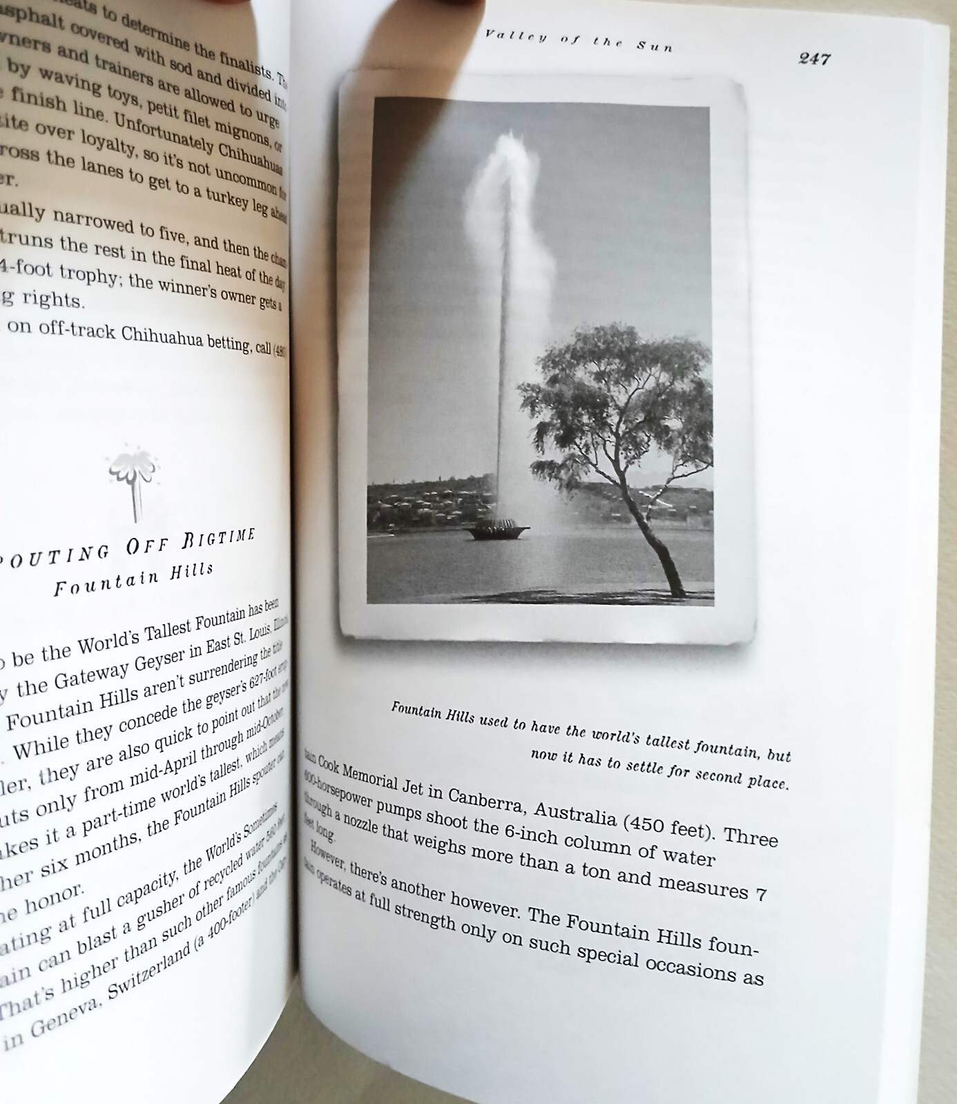 6 books about Arizona by the writers who know the state best at a bargain price
