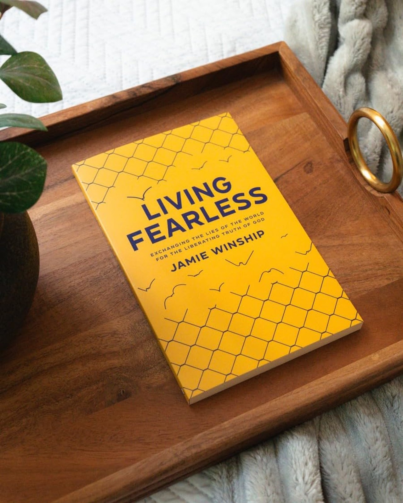 Living Fearless Christian Book on Faith, Truth of God and Spiritual Growth