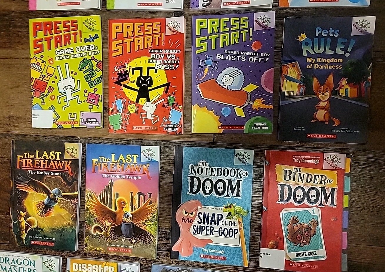 LOT 27 BRANCHES CHAPTER BOOKS: DIARY OF PUG +Owl Diaries +PRESS START HomeSchool