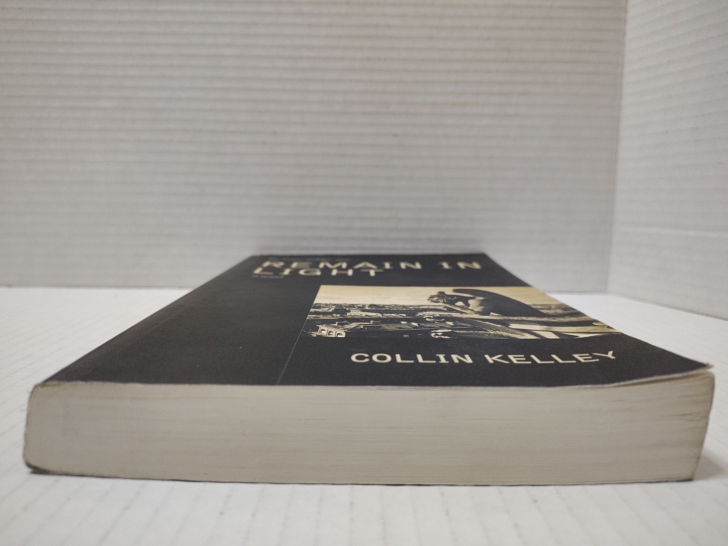 REMAIN IN LIGHT by Collin Kelley (2013, Pb) * FREE SHIPPING *