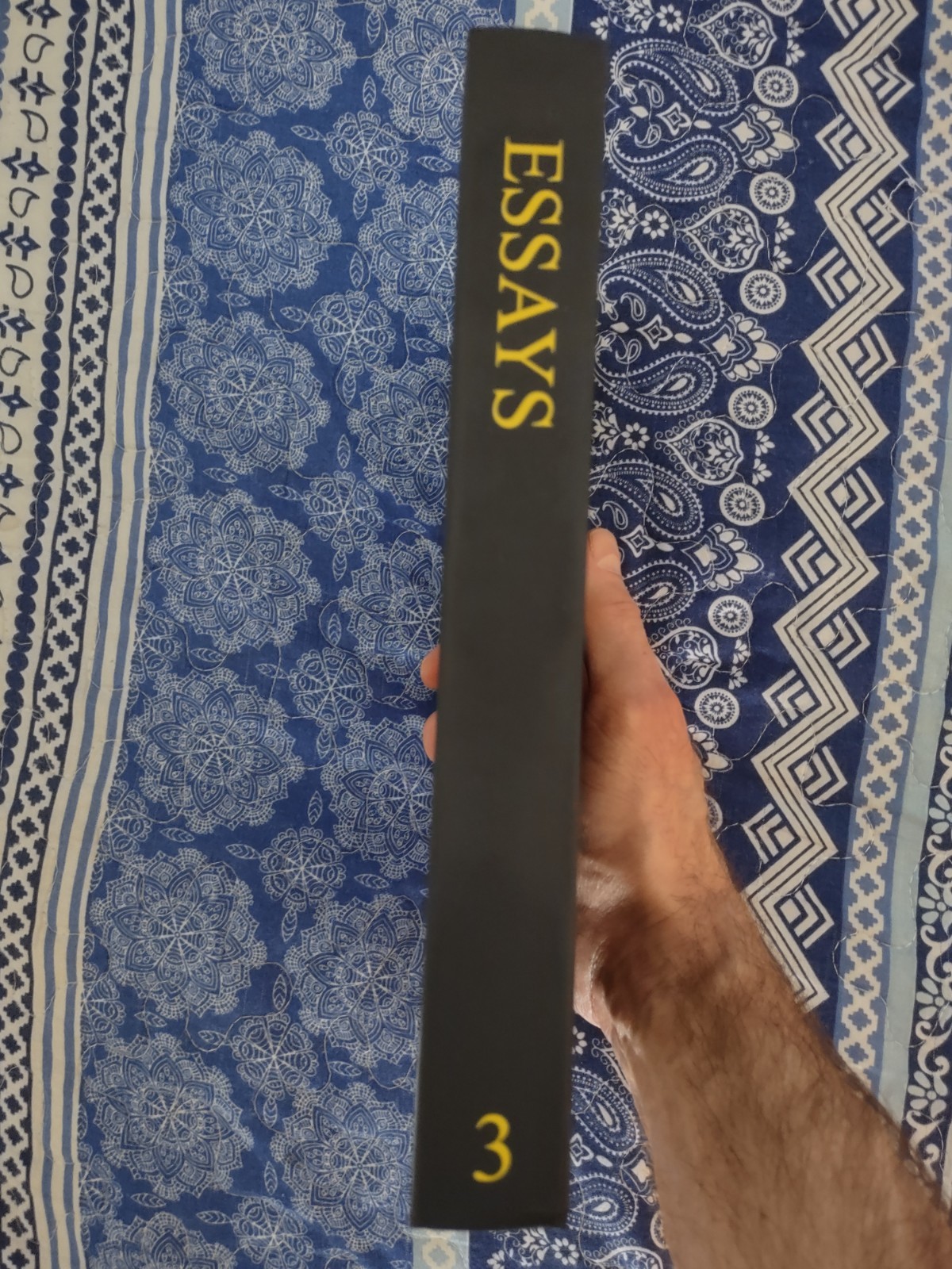 Essays Volume 3 by J. Edward & Erica Cornelius Limited HC 1/200 Crowley Thelema