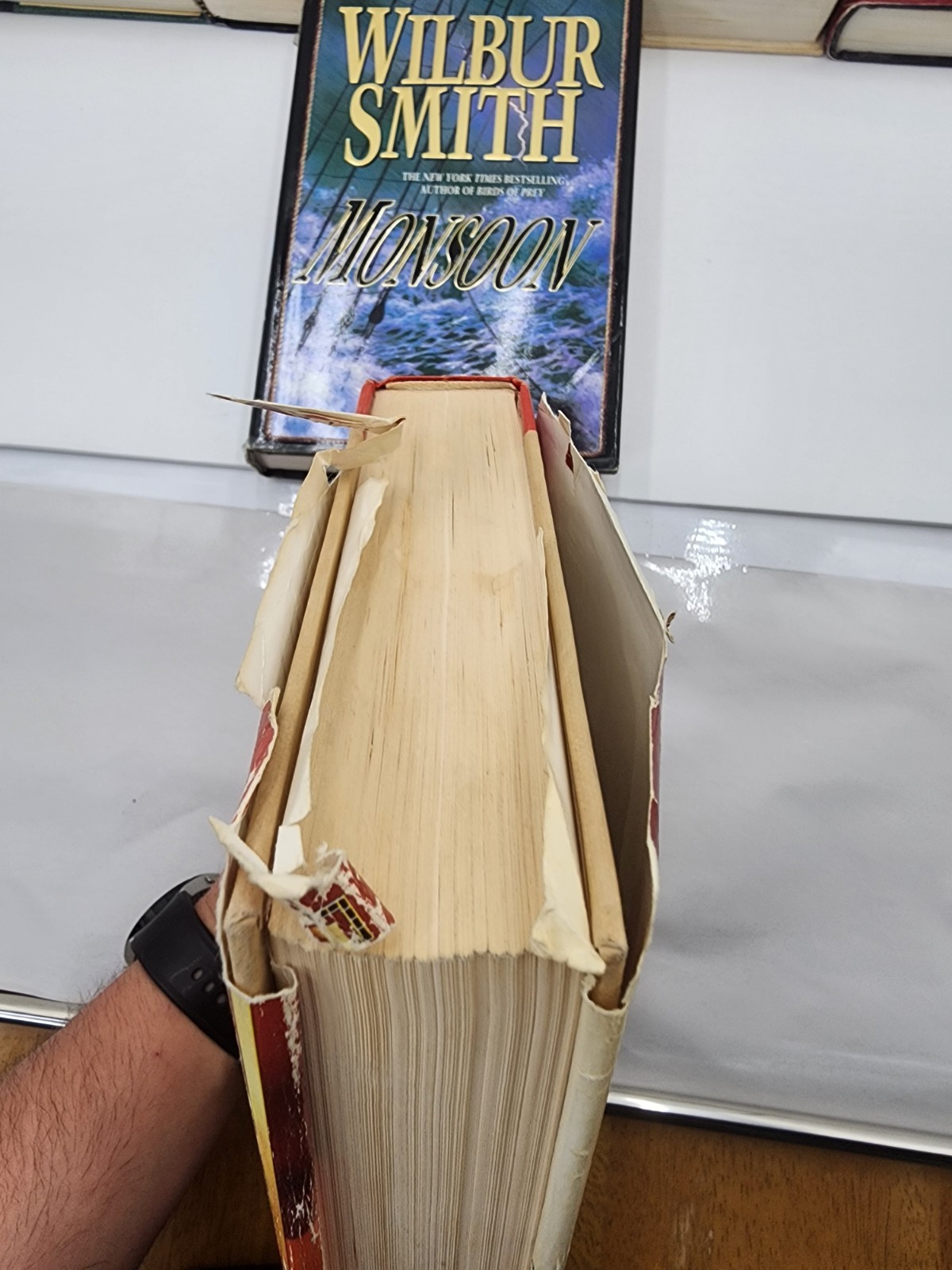 Lot of 18 Wilbur Smith Adventure Novels – Paperback/Hardcover Mix Acceptable