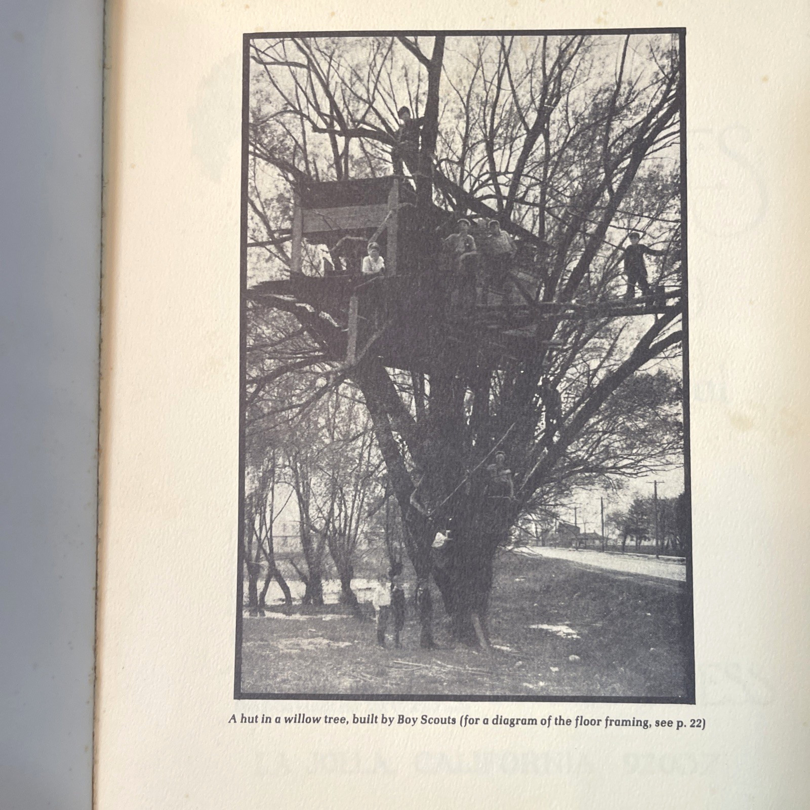 Tree Houses (1975) Green Tiger Press 1st Ed PB Illustrated Arboreal Architecture