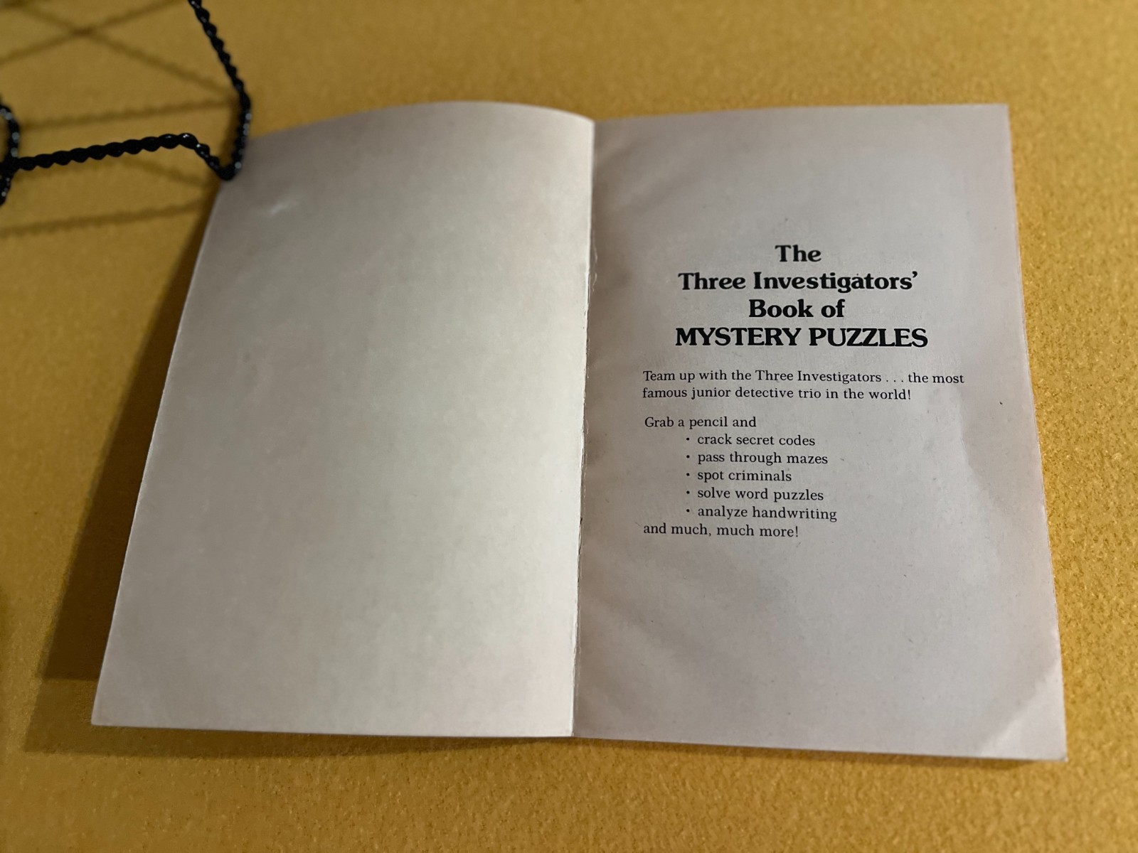 Three Investigators Book of Mystery Puzzles
