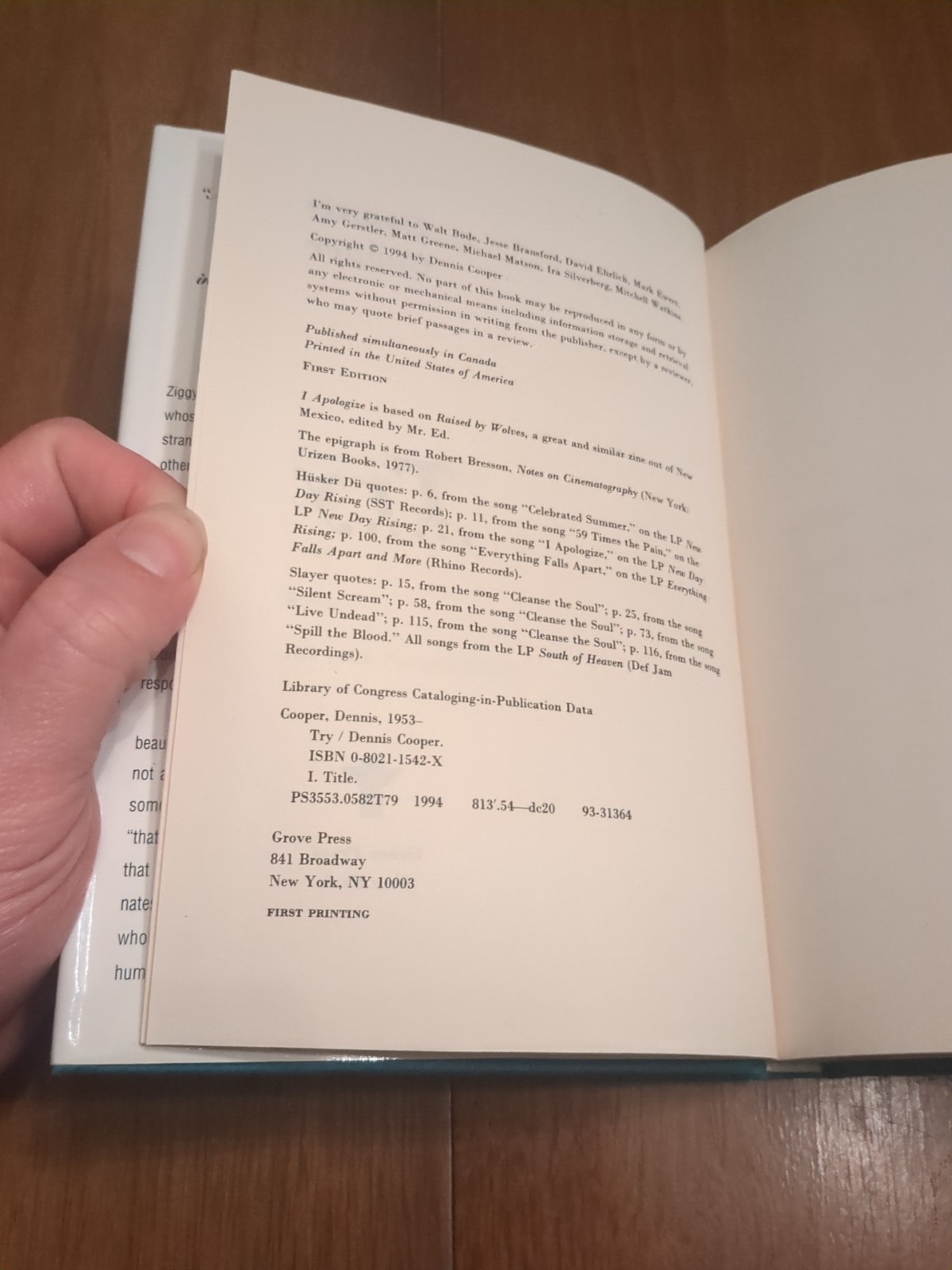 Try by Dennis Cooper (1994, Hardcover) – First Edition