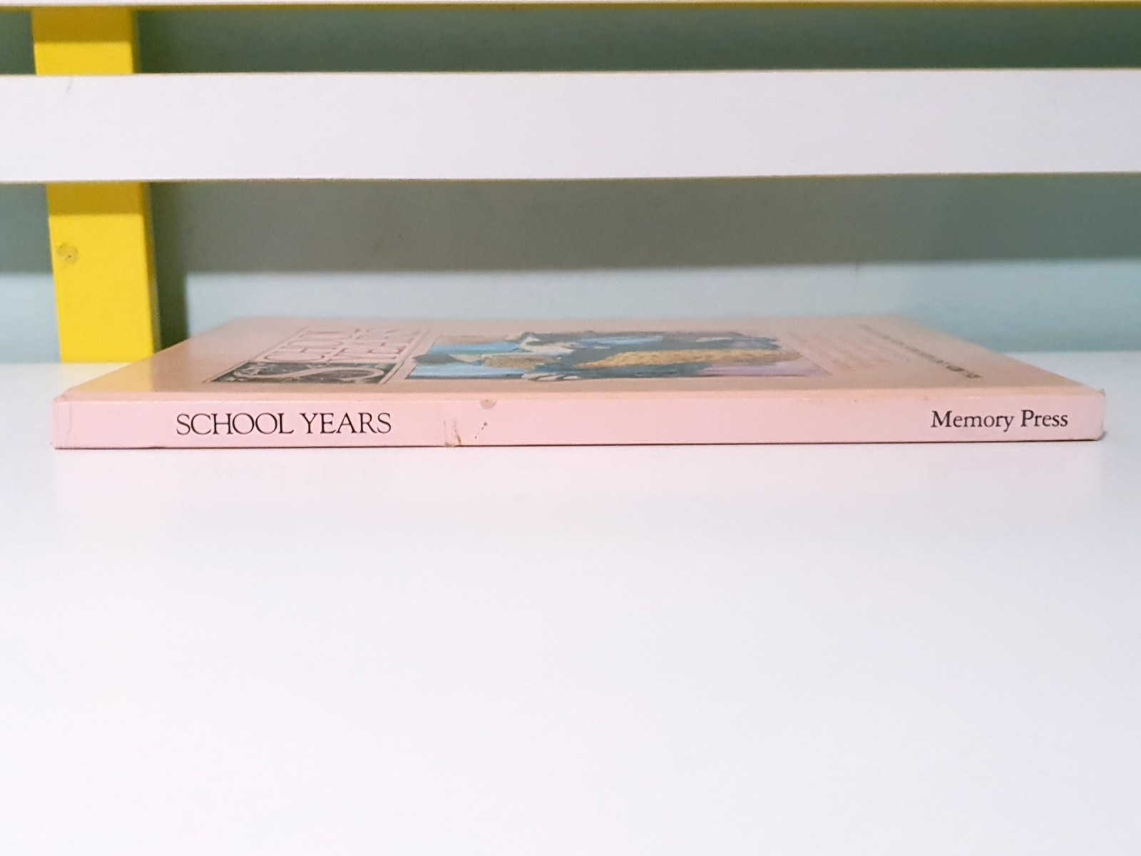 School Years: Records and Memories From Prep to Year 12! 1987 HC Book