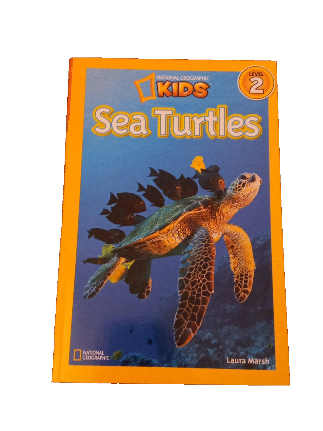 Good Condition Lot of 10 Mixed Learn to Read Kids Books For Boys and Girls