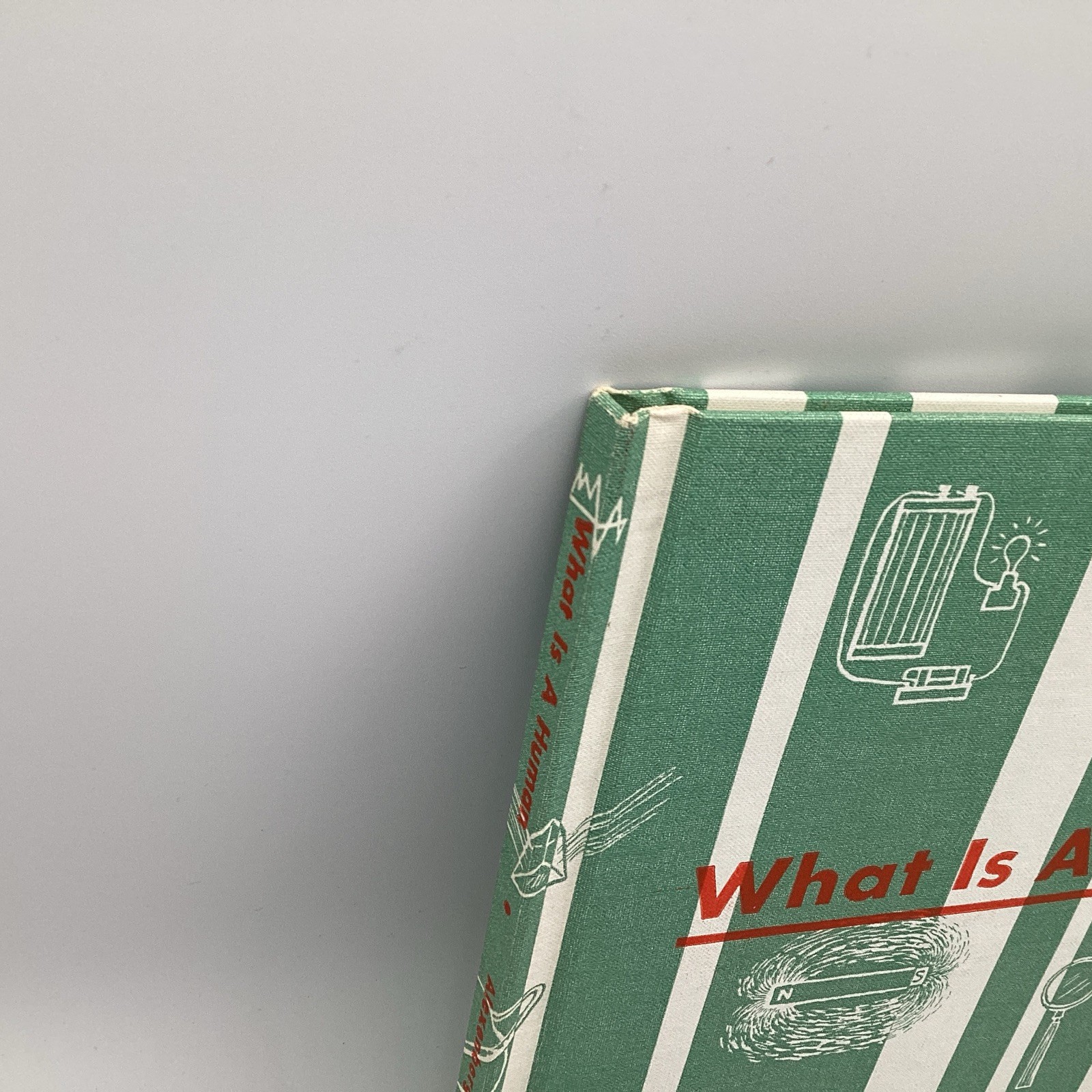 WHAT IS A HUMAN, (what is series) 1964 Benefic Press, by Melvin Alexenberg