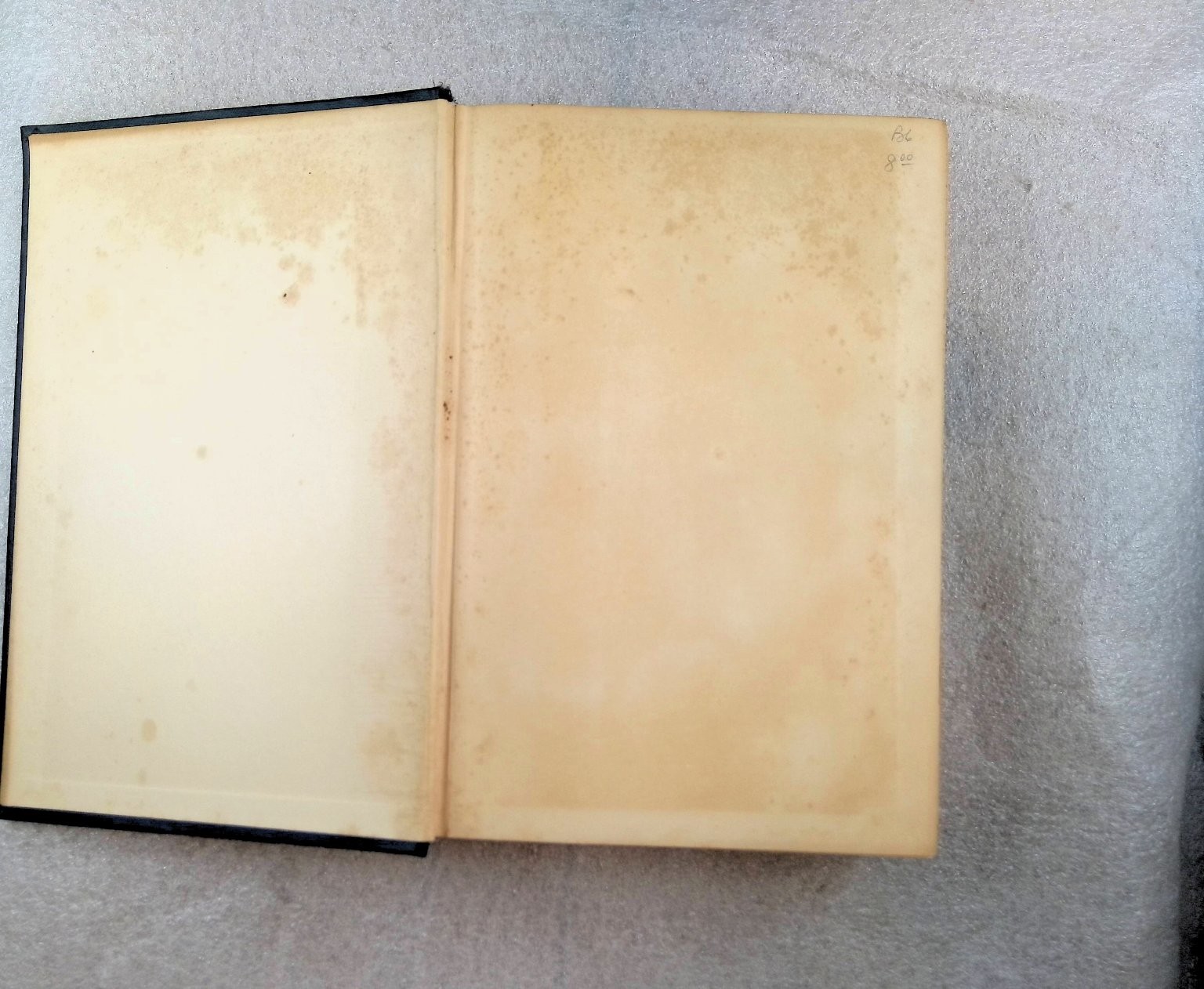 Recollections & Letters of General Robert E. Lee by Captain R. E. Lee 1924