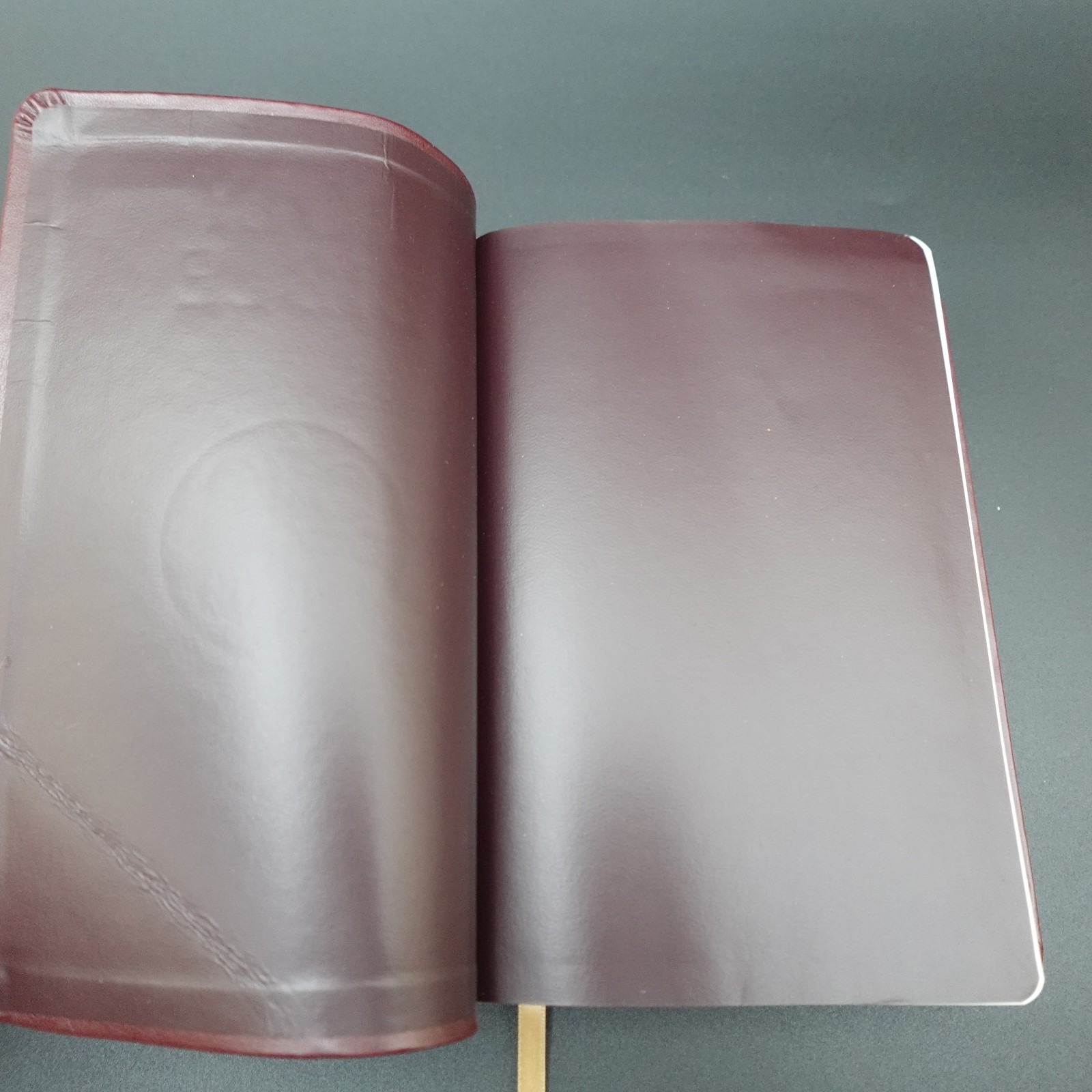 Douay Rheims Bible Burgundy Premium UltraSoft Catholic Bible St Benedict Press