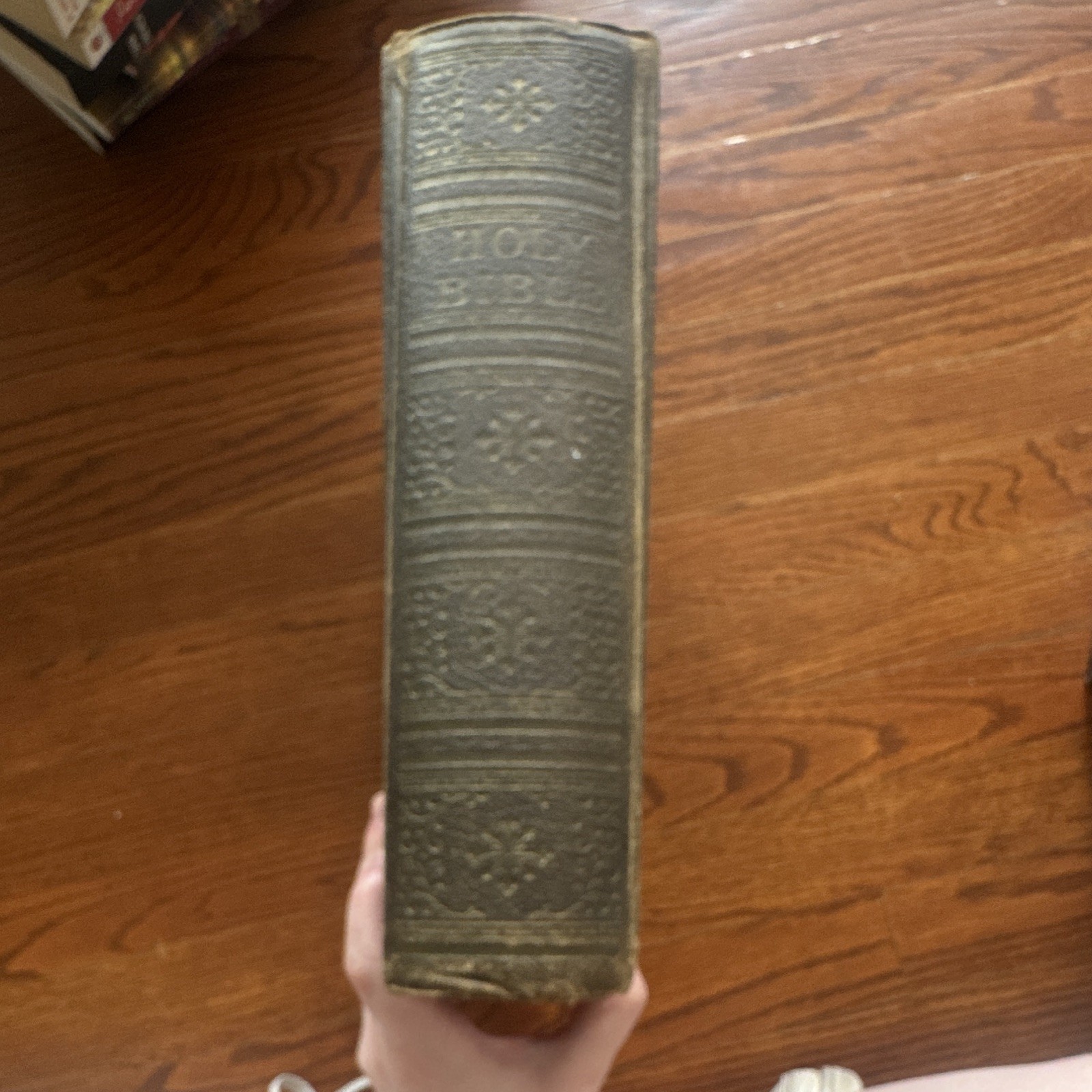 Vintage Illustrated Holy Bible – Ornate Victorian Cover
