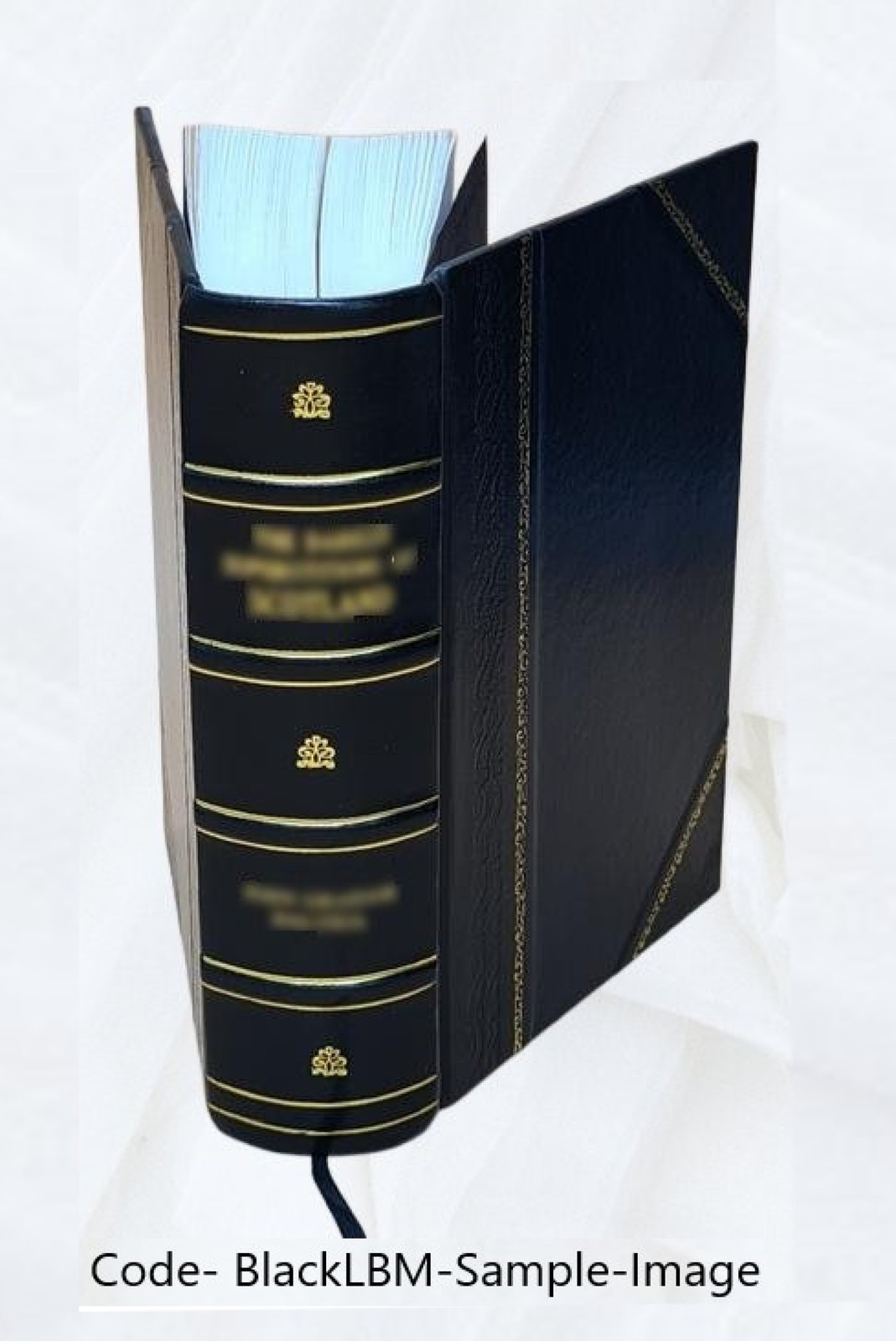 The Christian Warfare 1604 By Downame, John [Leather Bound]