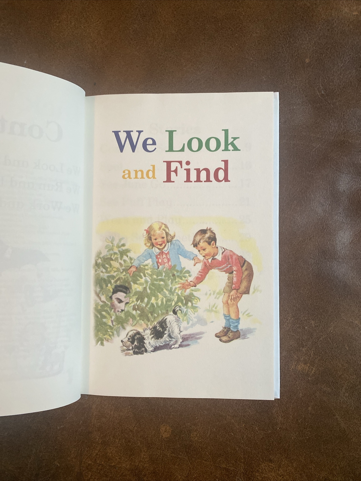 Dick and Jane Ser.: Dick and Jane and Vampires by Laura Marchesani (2010,…