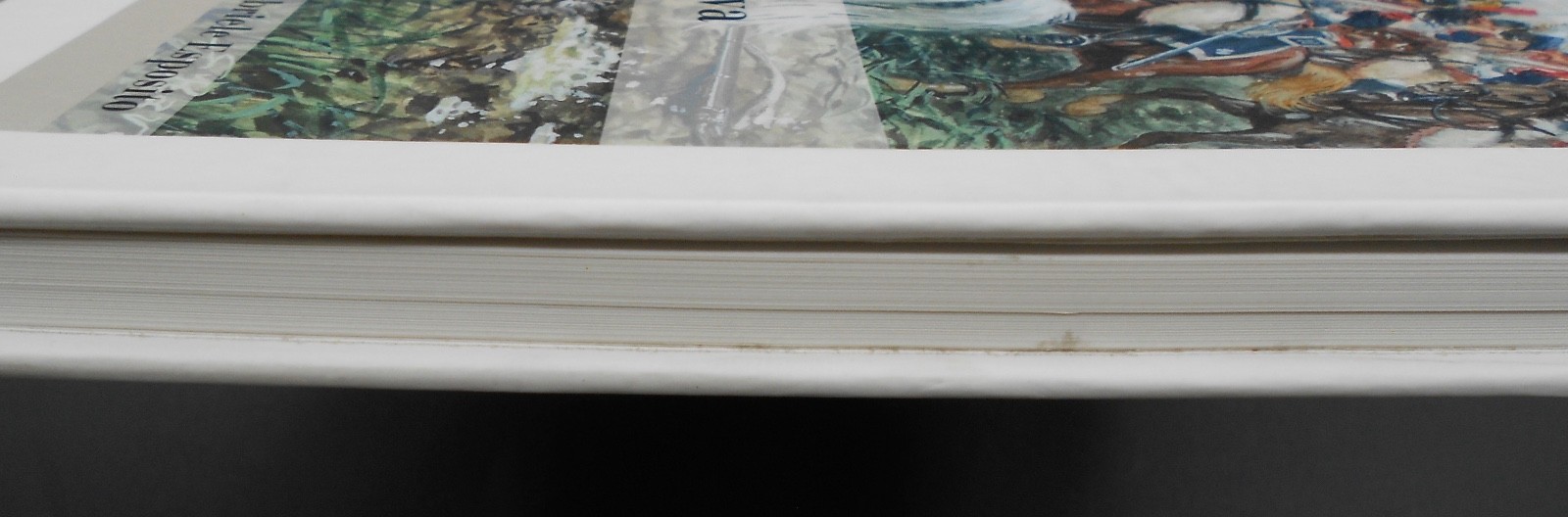 ART OF GIUSEPPE RAVA 2016 1ST EDITION HC VG, ALMOST 200 MILITARY HISTORY ILLUSTR