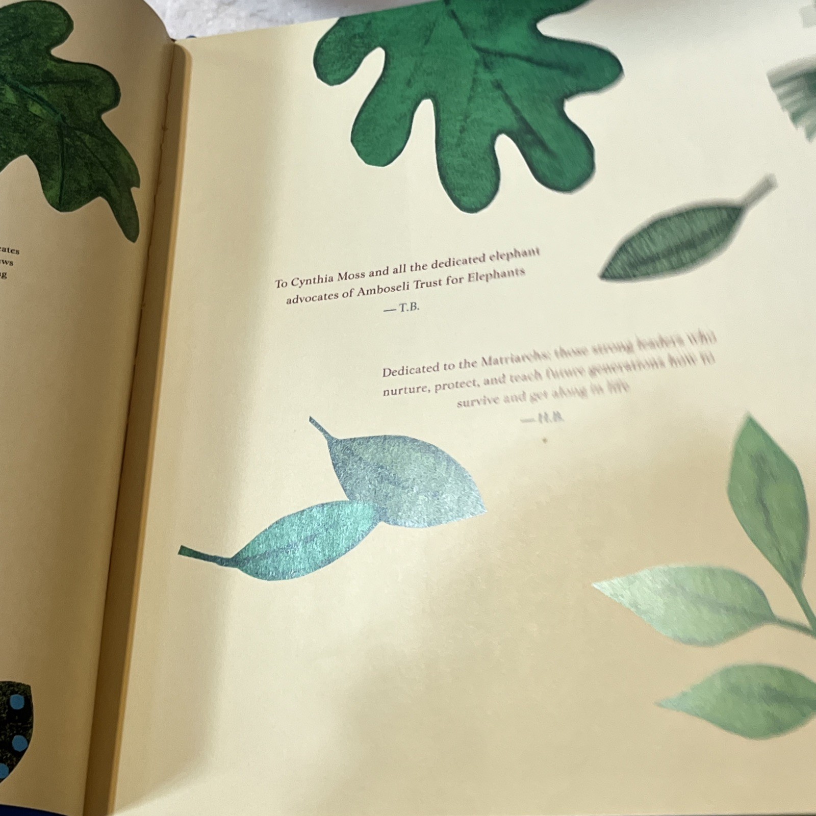 A Passion for Elephants by Toni Buzzeo Children’s Book Hardcover 2015