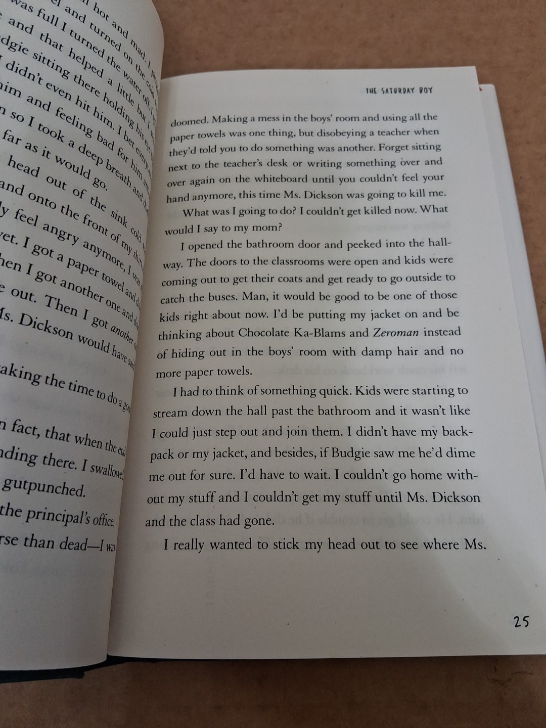 The Saturday Boy – Fleming, David (2013, Hardcover) Bullying, Family Deployment
