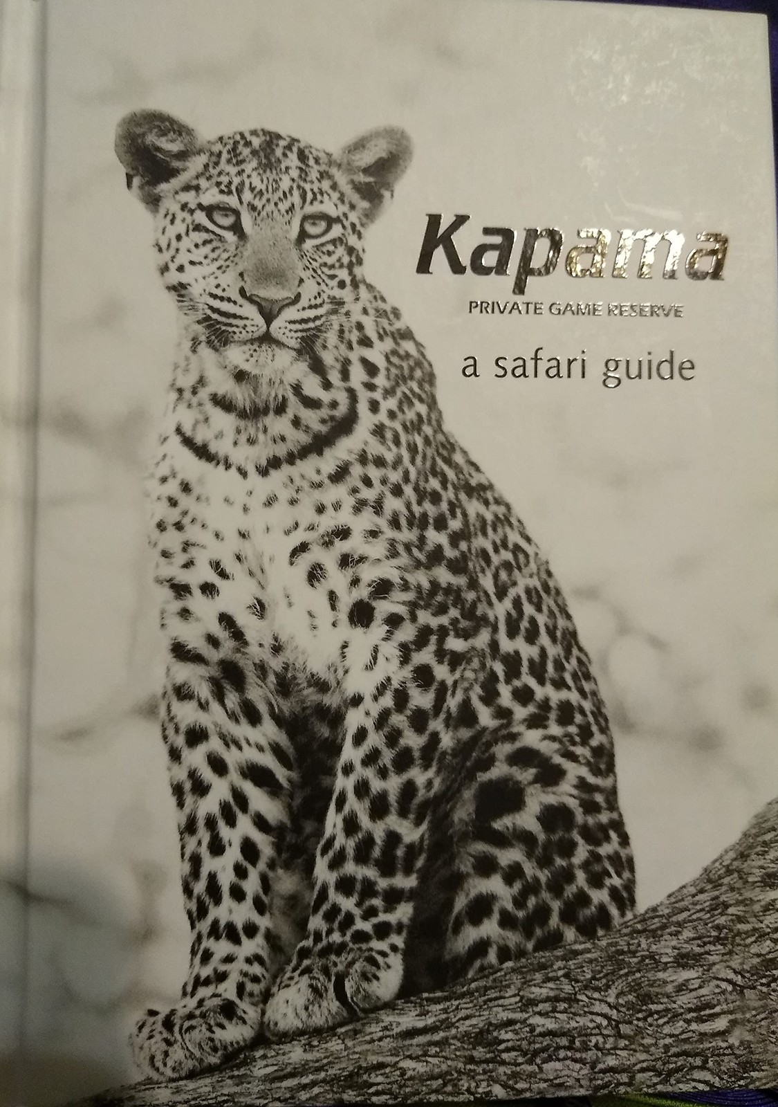 Kapama Private Game Reserve a Safari Guide