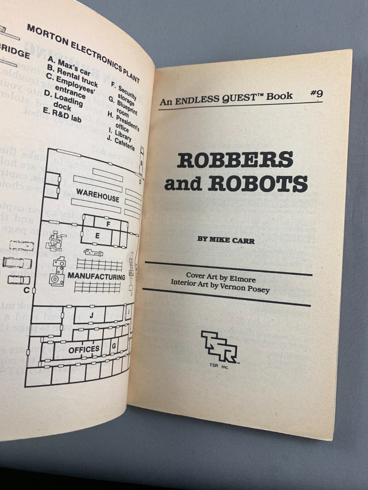 Endless Quest Book #9 Robbers and Robots by Mike Carr Dungeons & Dragons (N)