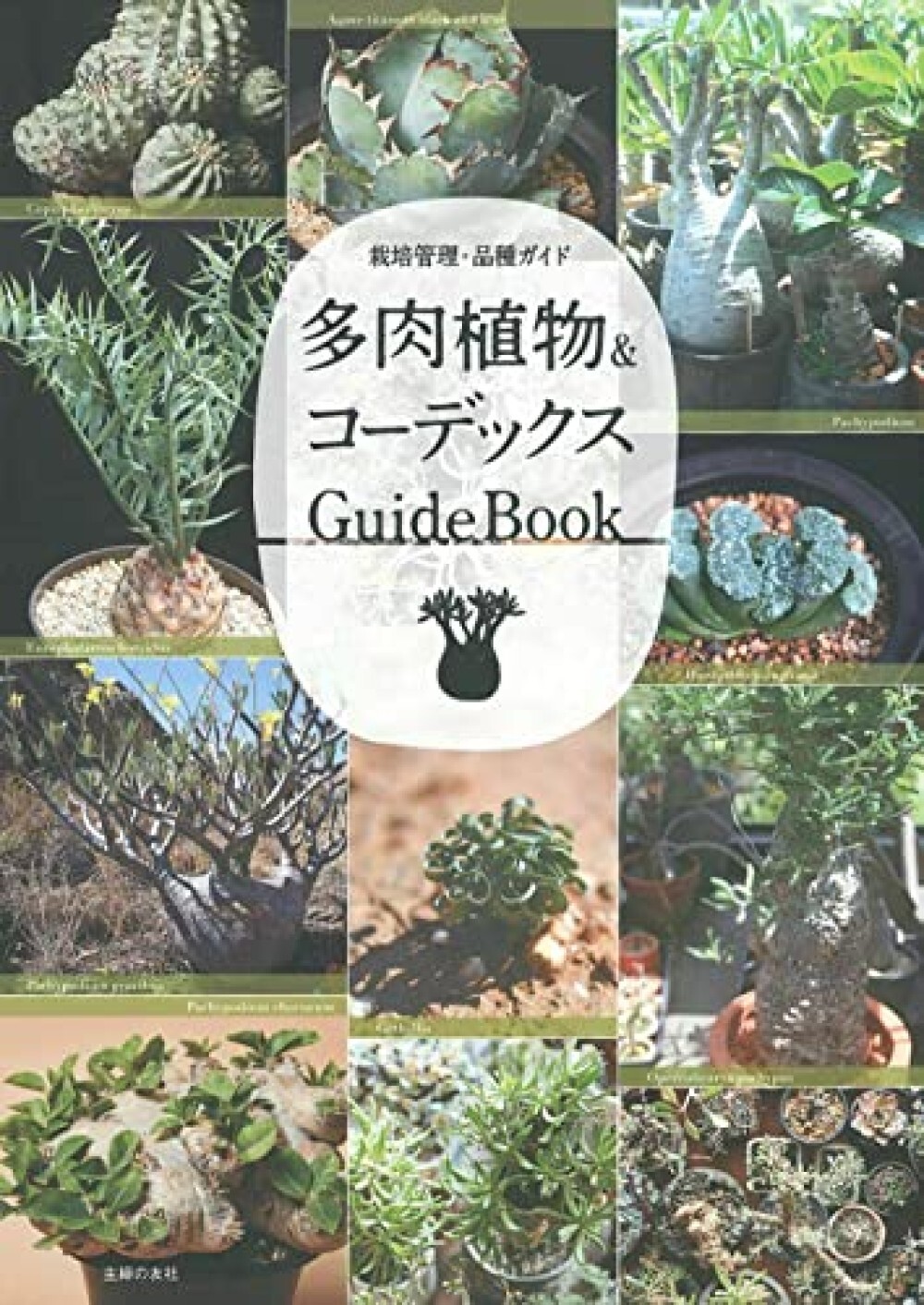 Succulents & Codex Japanese GuideBook Gracilis Pachybus Comiphora Horidas Kurooh