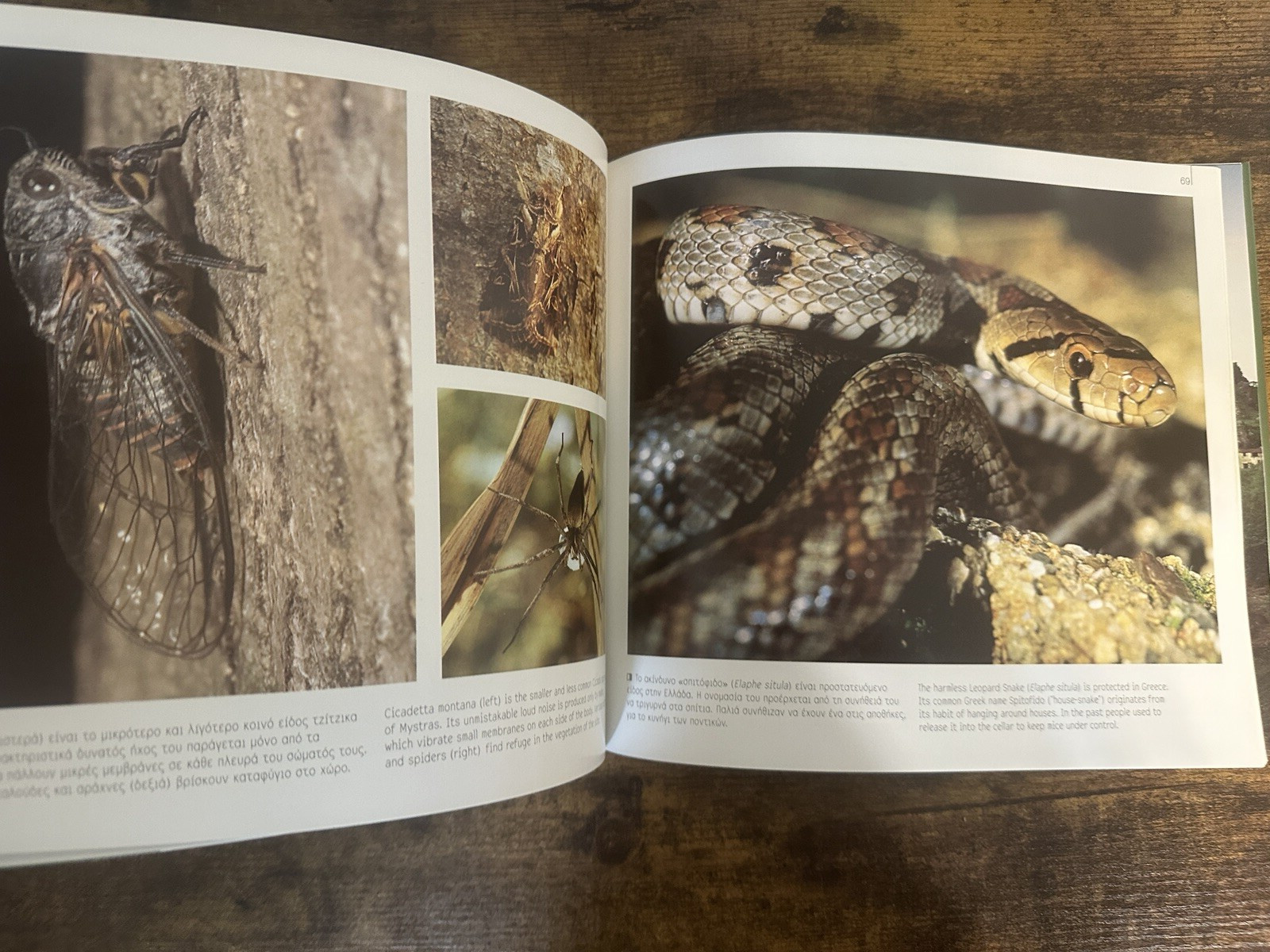 Greek and English Nature Pictures by Andrea Bonetti – 129 pages Read details