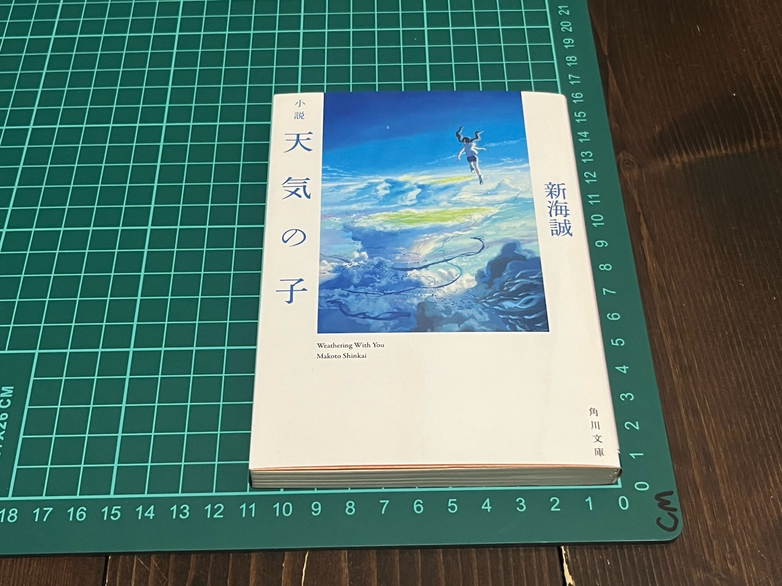 MAKOTO SHINKAI SIGNED BOOK Weathering With You PAPER BACK JAPANESE BOOK 2019