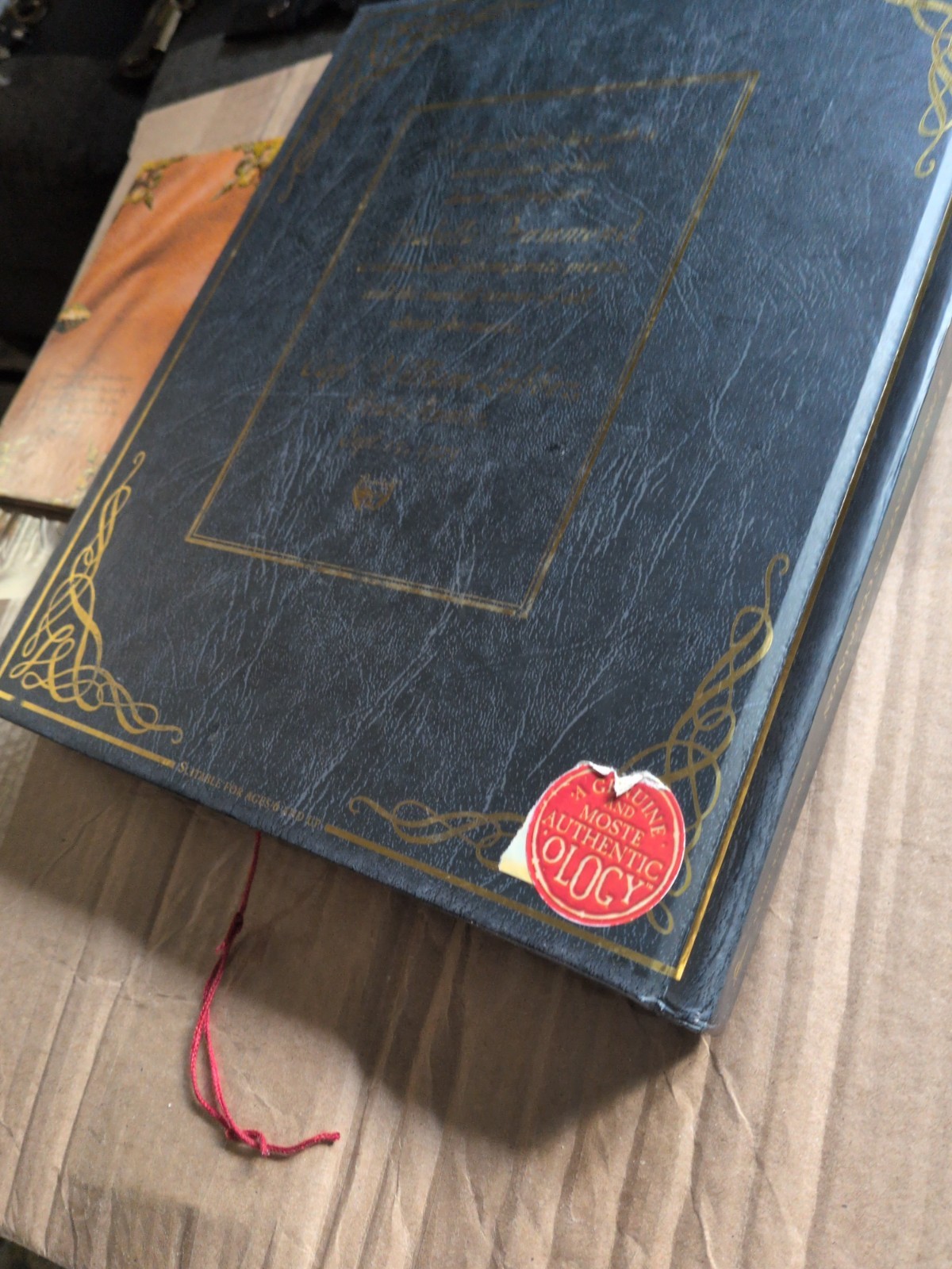 Pirateology A Pirate Hunter’s Companion Interactive Book Treasure Map Pirate