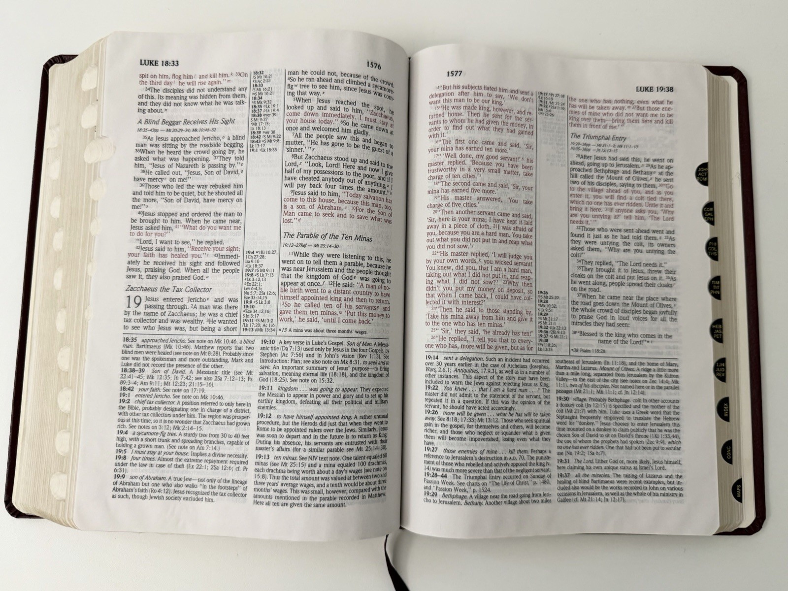 Zondervan NIV 1985 Study Bible Red Letter Bonded Leather Gilded Nice Copy
