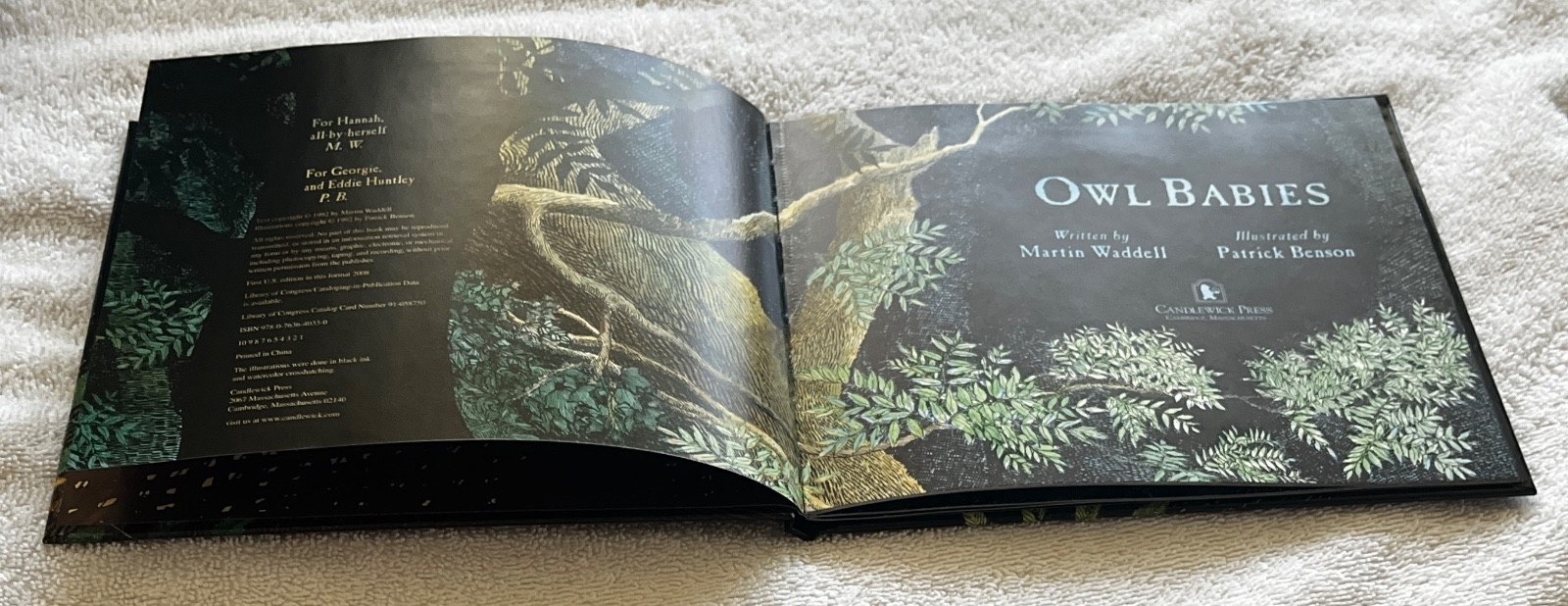 Owl🦉Babies📘Candlewick📀Storybook🥚Animations Book +DVD Martin Waddell FreeShip