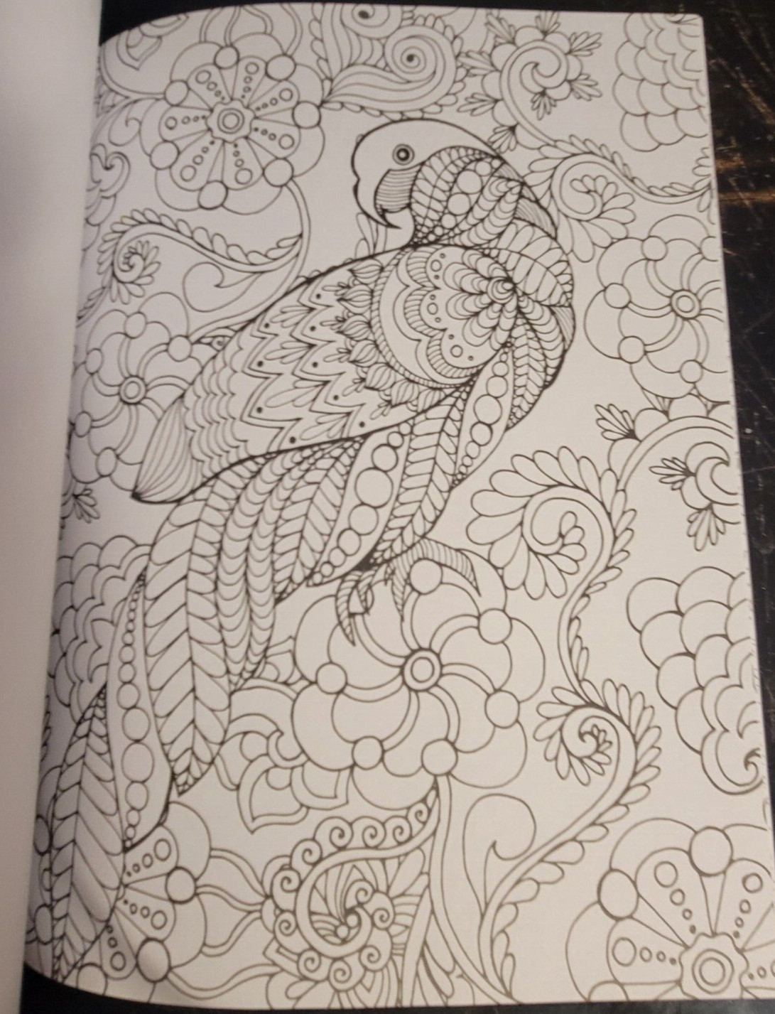 COLORS OF THE WILD Vol. 21 Adult Coloring Book With 47 Prints Ready To Frame!
