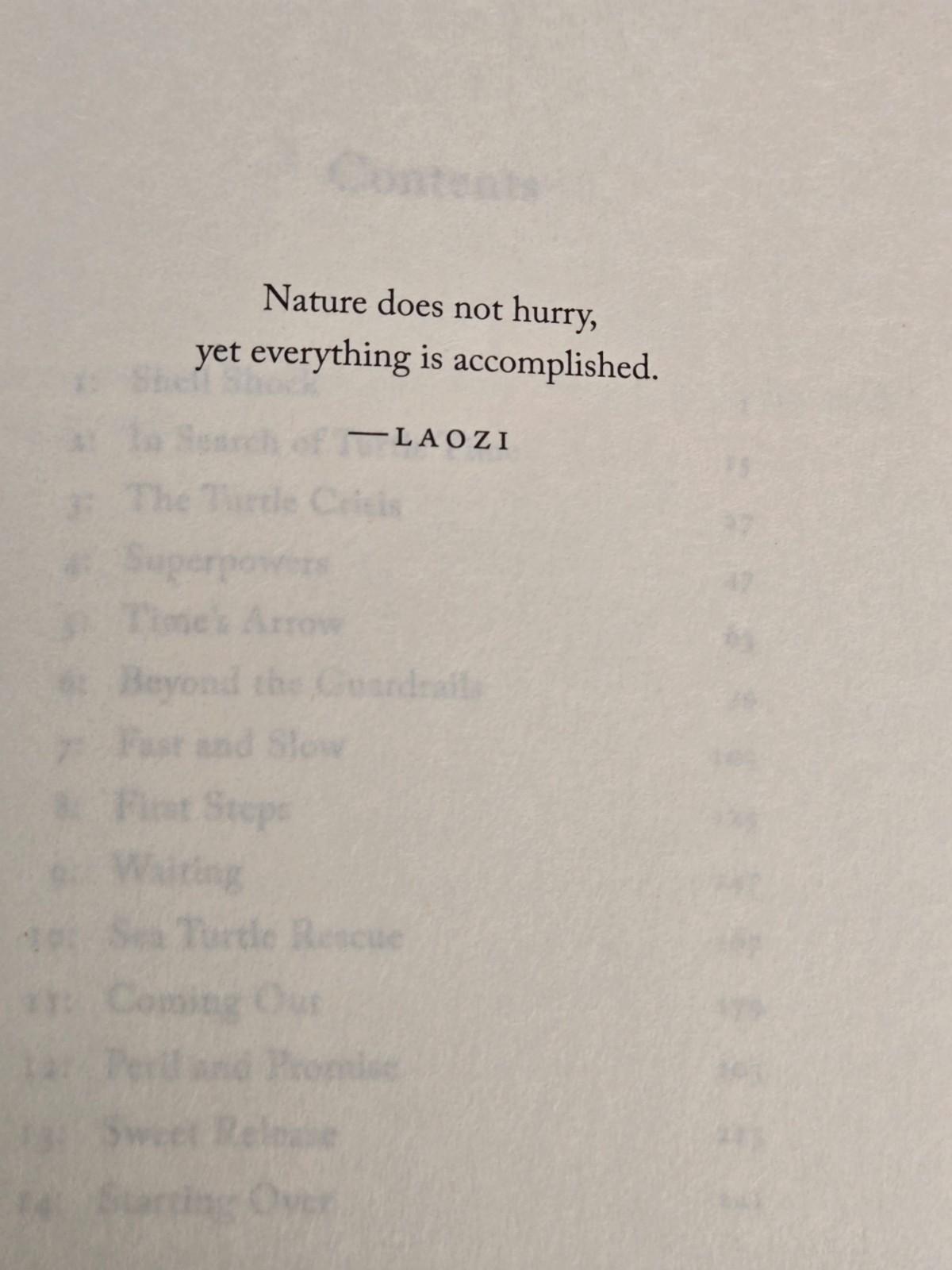Of Time And Turtles: Mending The World, Shell By Shattered Shell Sy Montgomery