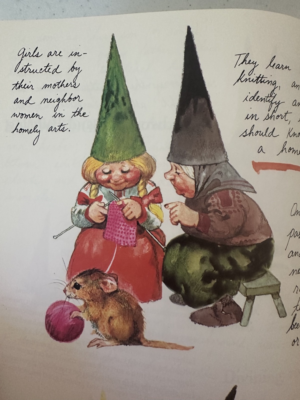Gnomes Huygen Poortvliet 1979 1st PB printing art fairy fantasy VTG forest draw
