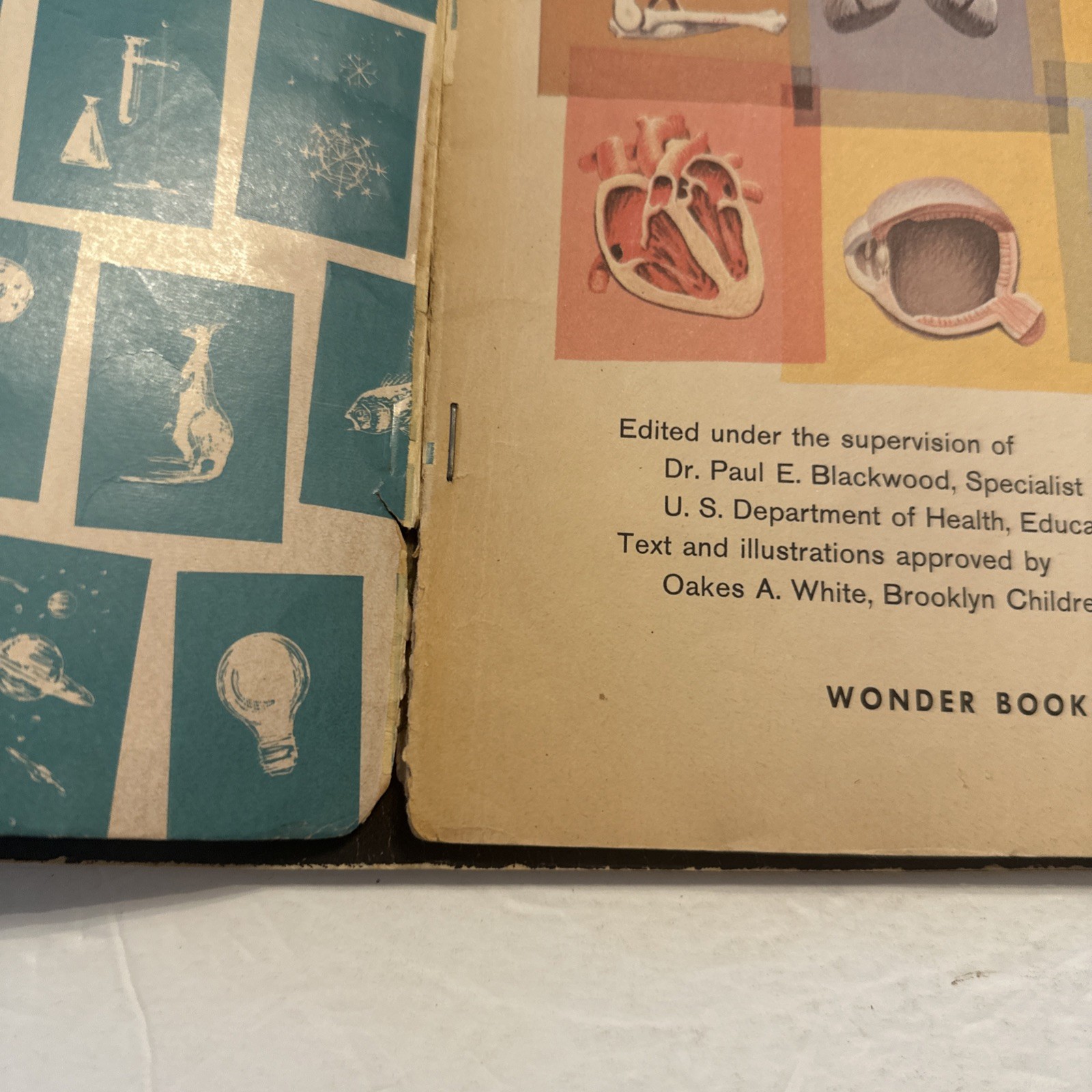 Lot Of 3 The How And Why Wonder Books Paperback Science Human Body Scientists