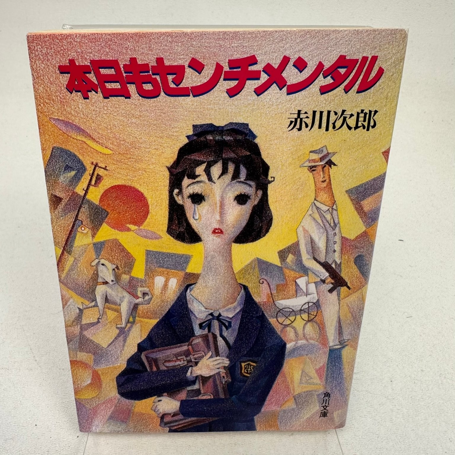 Akagawa Jiro Mystery Novel Set 10 Books Mike Neko Holmes Detective Japan