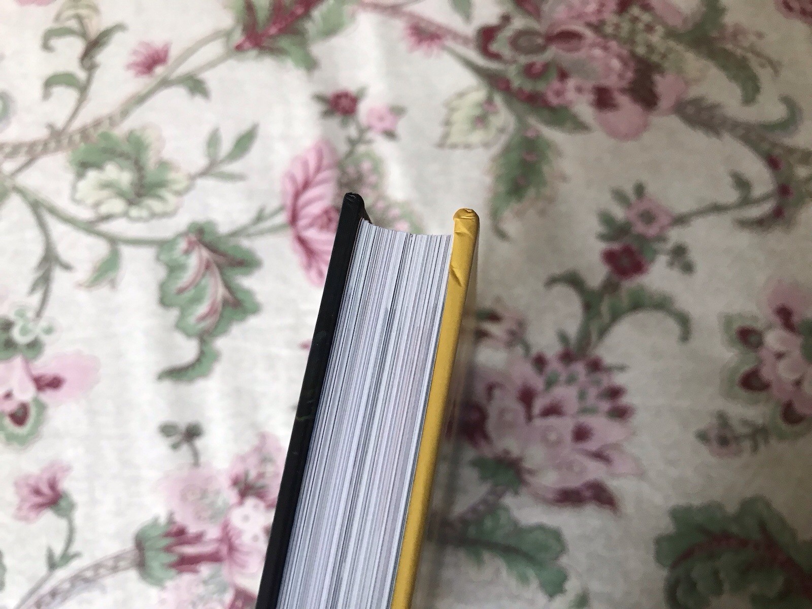 Art of the Book of Life By Jorge R. Gutierrez – SIGNED By Paul Sullivan w/ Draw
