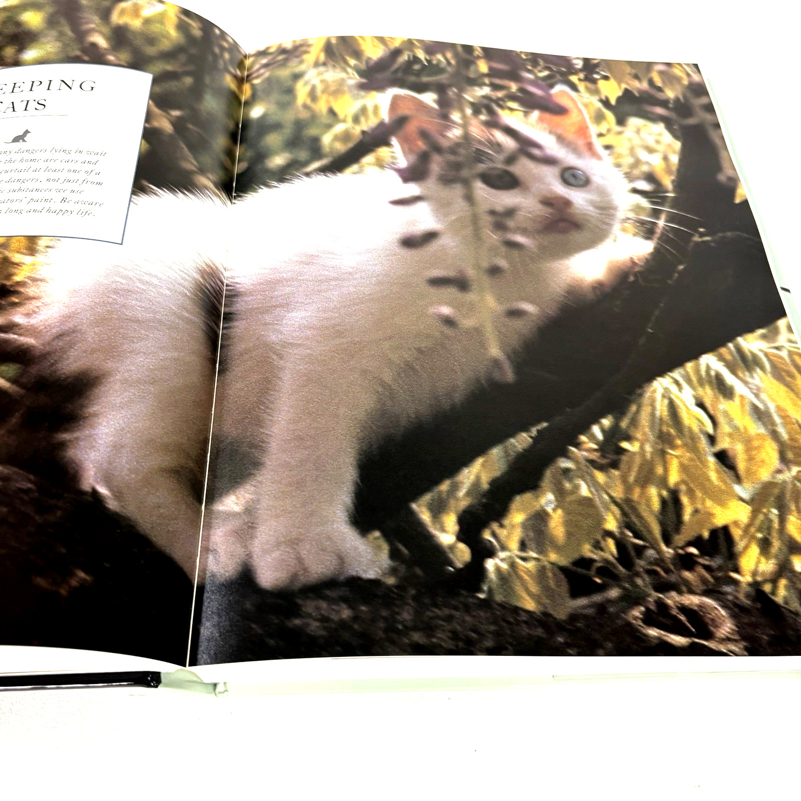 The Complete Cat Book by Paddy Cutts Hardcover First Edition 1994 With Cover