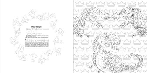 Animals: A Smithsonian Coloring Book Box Set, Smithsonian Institution, Excellent