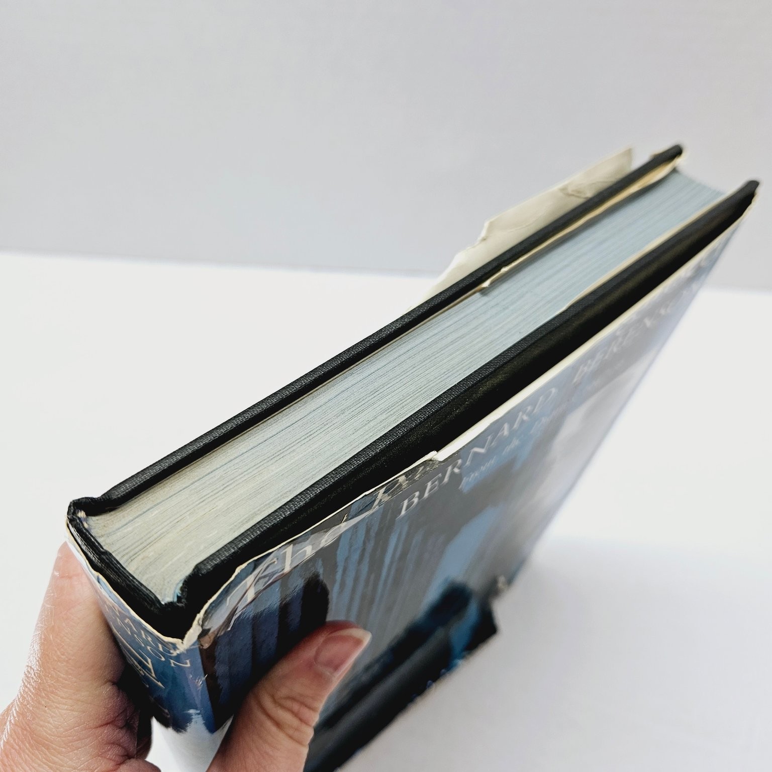 Vintage Art History Diaries – Passionate Sightseer – Bernard Berenson 1960 Hcdj