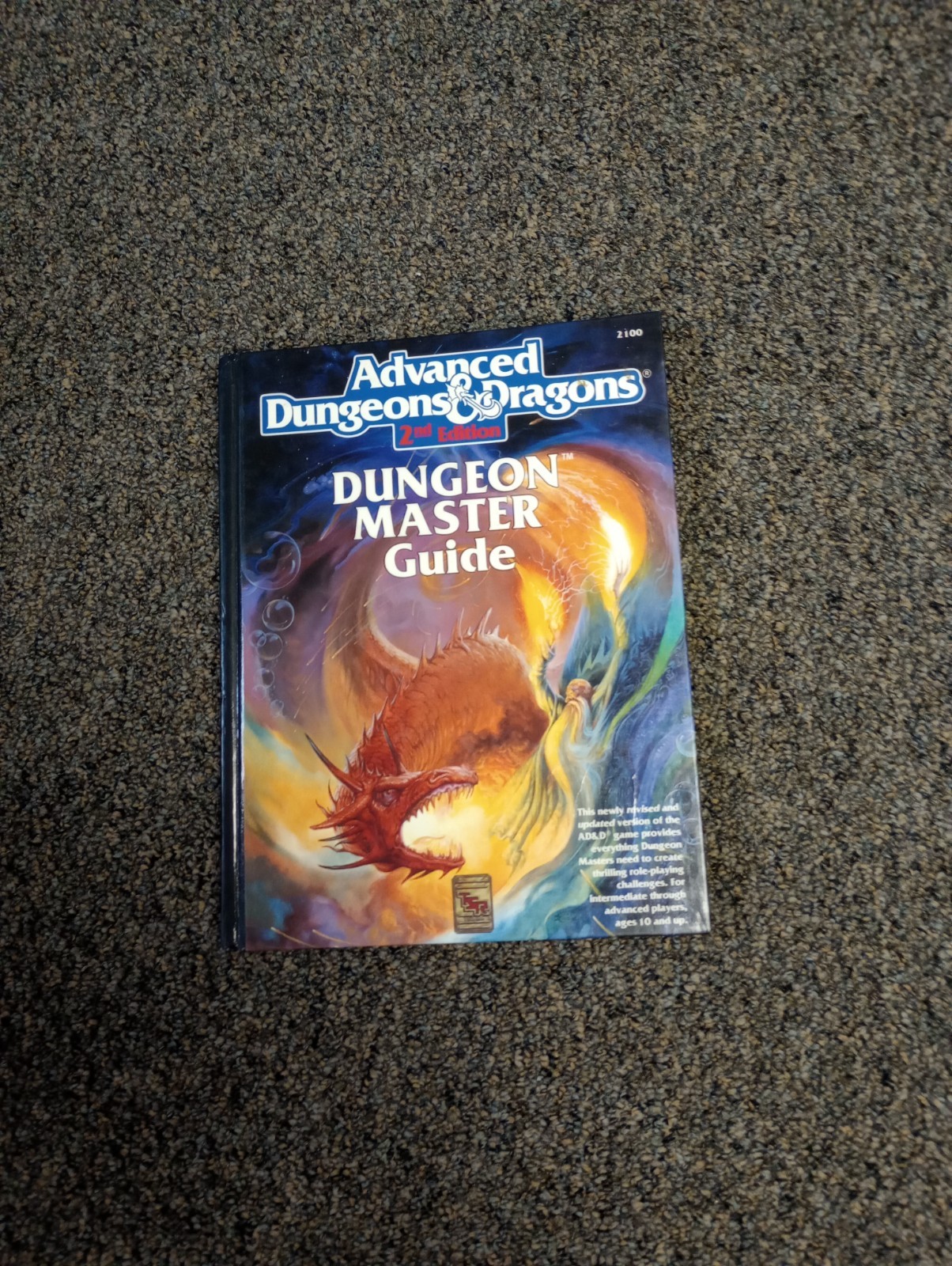 Advanced Dungeons and Dragons : Dungeon Master’s Guide by Tony Cook (1989, Trade