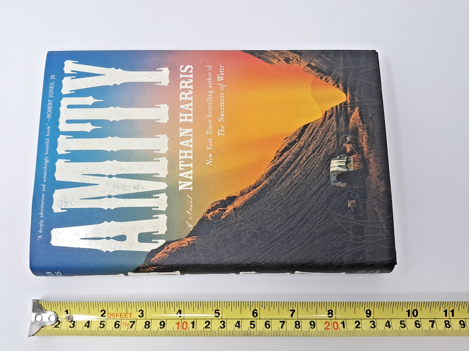 Amity by Nathan Harris (2025, Hardcover) American Historical Fiction novel