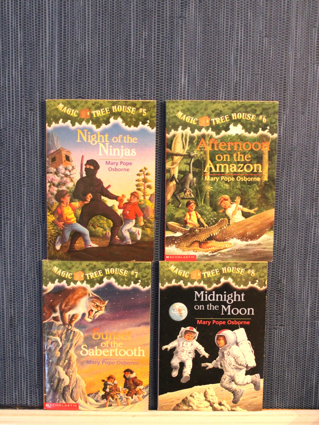 Magic Tree House Series 1-13 & 16-28 Chapter Book Lot Homeschool Teach Osborne