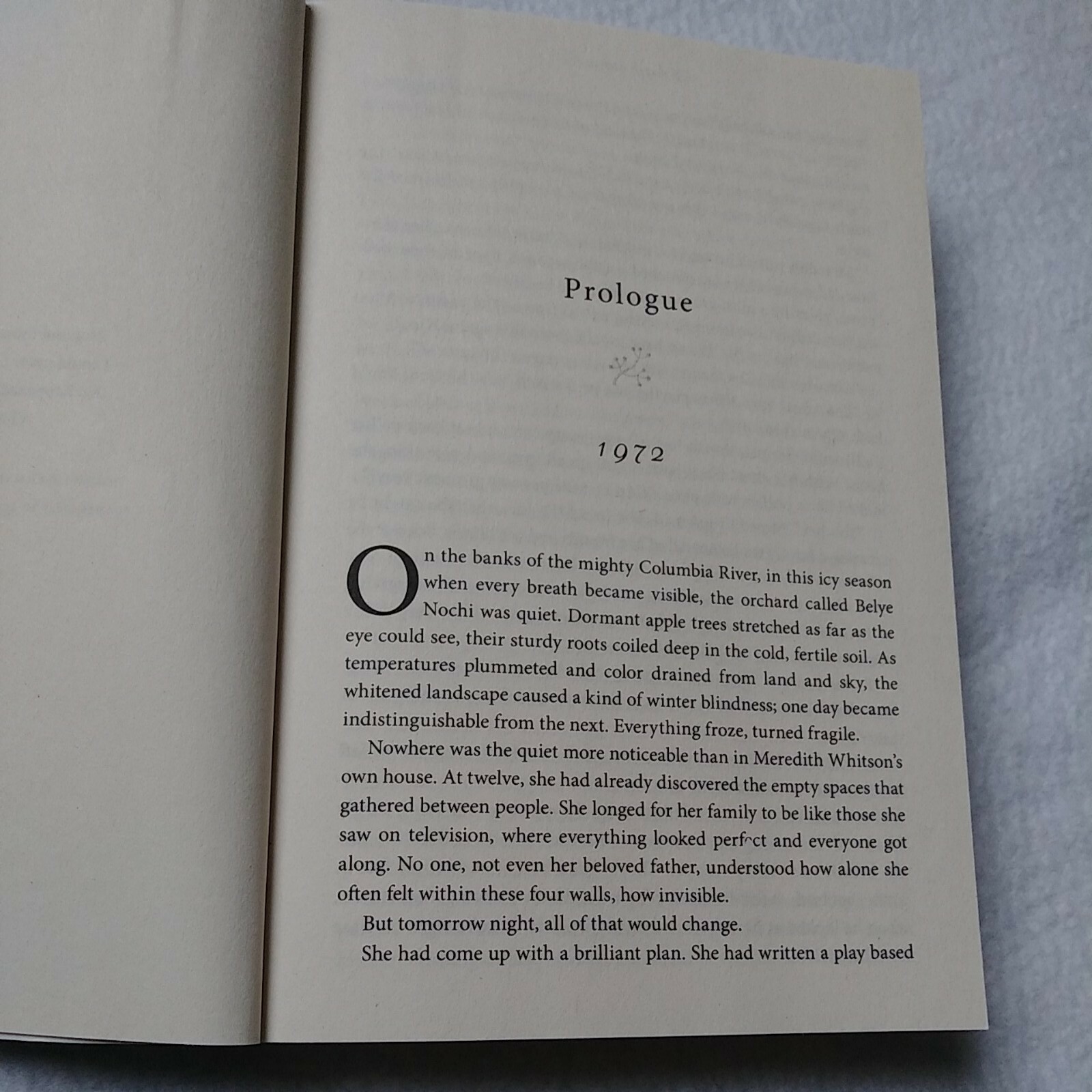 Winter Garden by Kristin Hannah 2011 Trade Paperback)