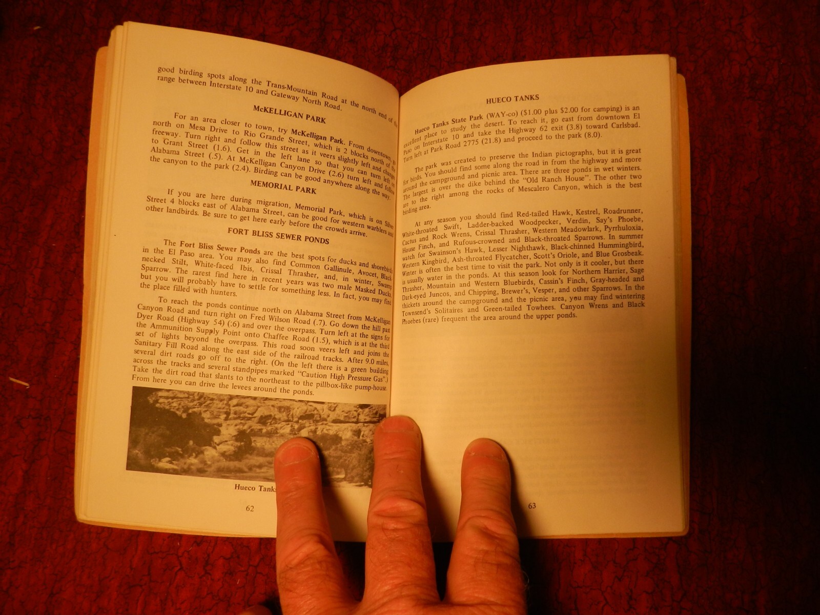 book A birders guide to the rio grande valley 1973 by James A. Lane 111 pages