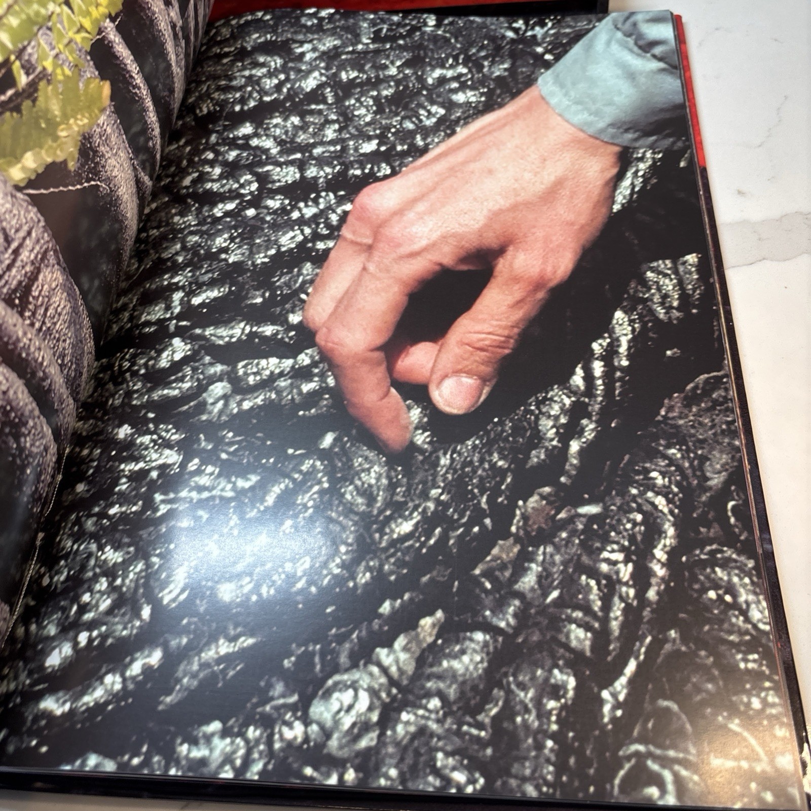 National Geographic’s Fire of Love (Limited Edition with Slipcase) /300 Book