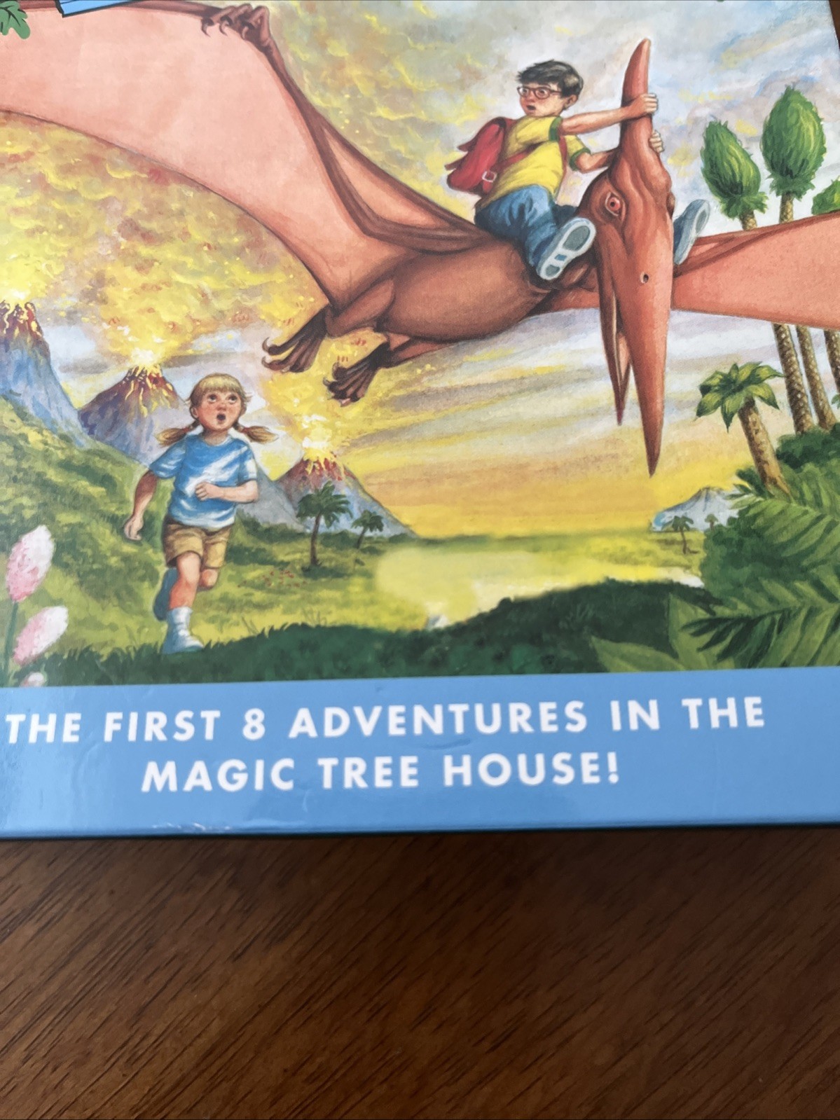 Magic Tree House Box Set Books 1-8 by Mary Pope Osborne