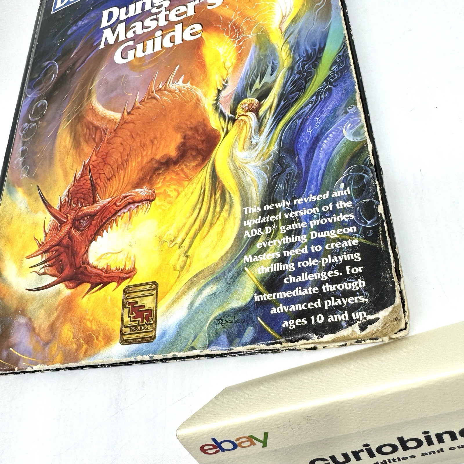 AD&D2E Advanced Dungeons and Dragons – Dungeon Master’s Guide