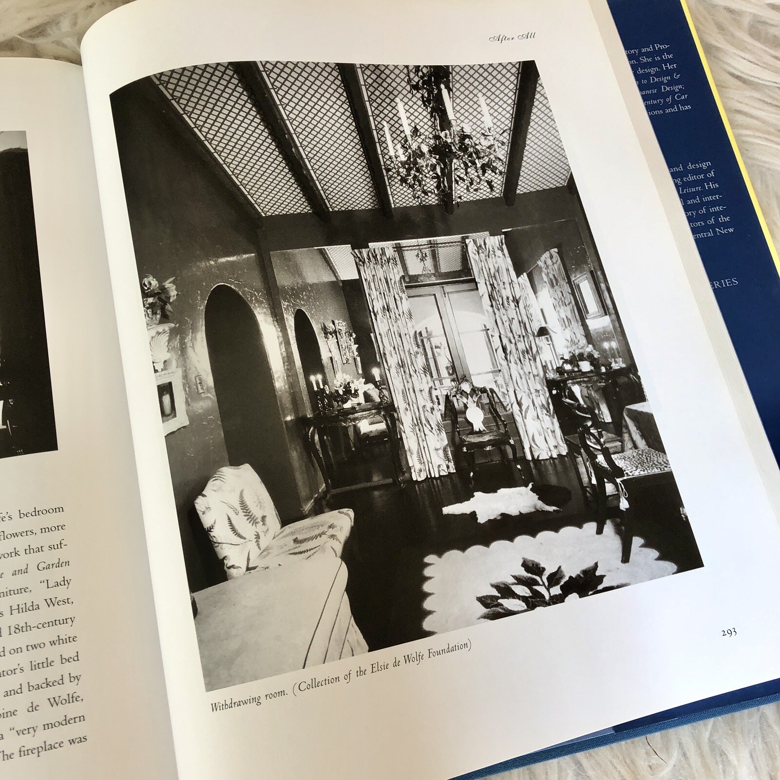 Elsie de Wolfe, the Birth of Modern Interior Design Acanthus Press Yellow Book
