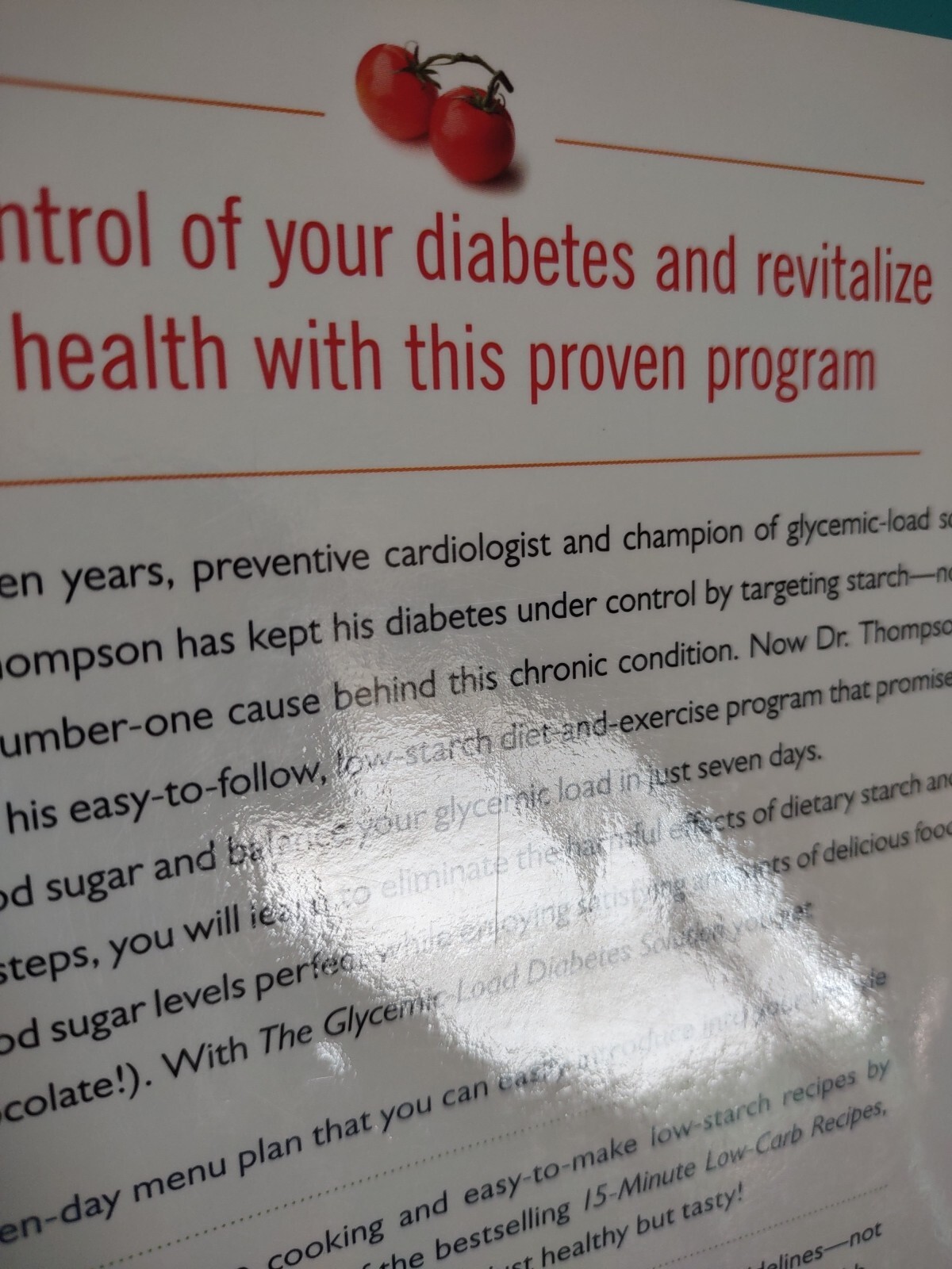 The Low Glycemic Load Diabetes Solution Paperback Book.