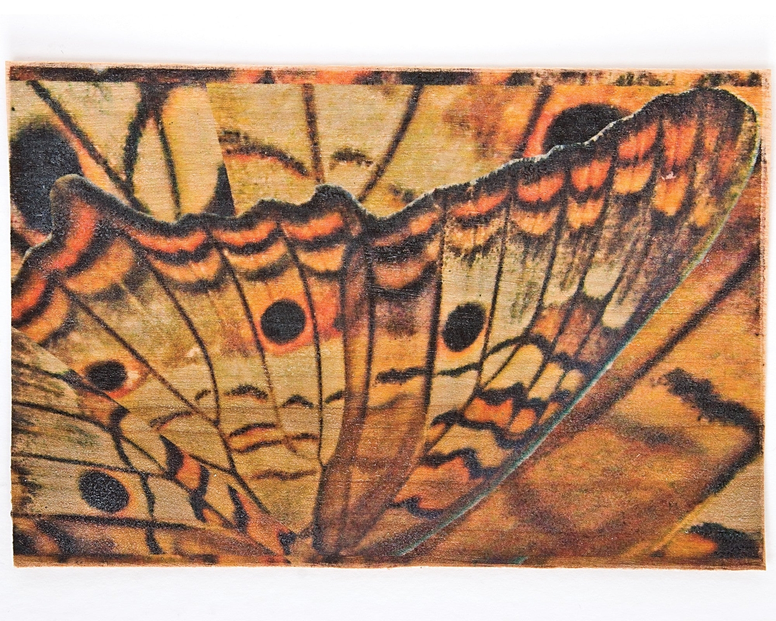 Lesley Riley’s TAP Transfer Artist Paper 8-1/2-Inch x 11-Inch 18 Pack by C&T Pub